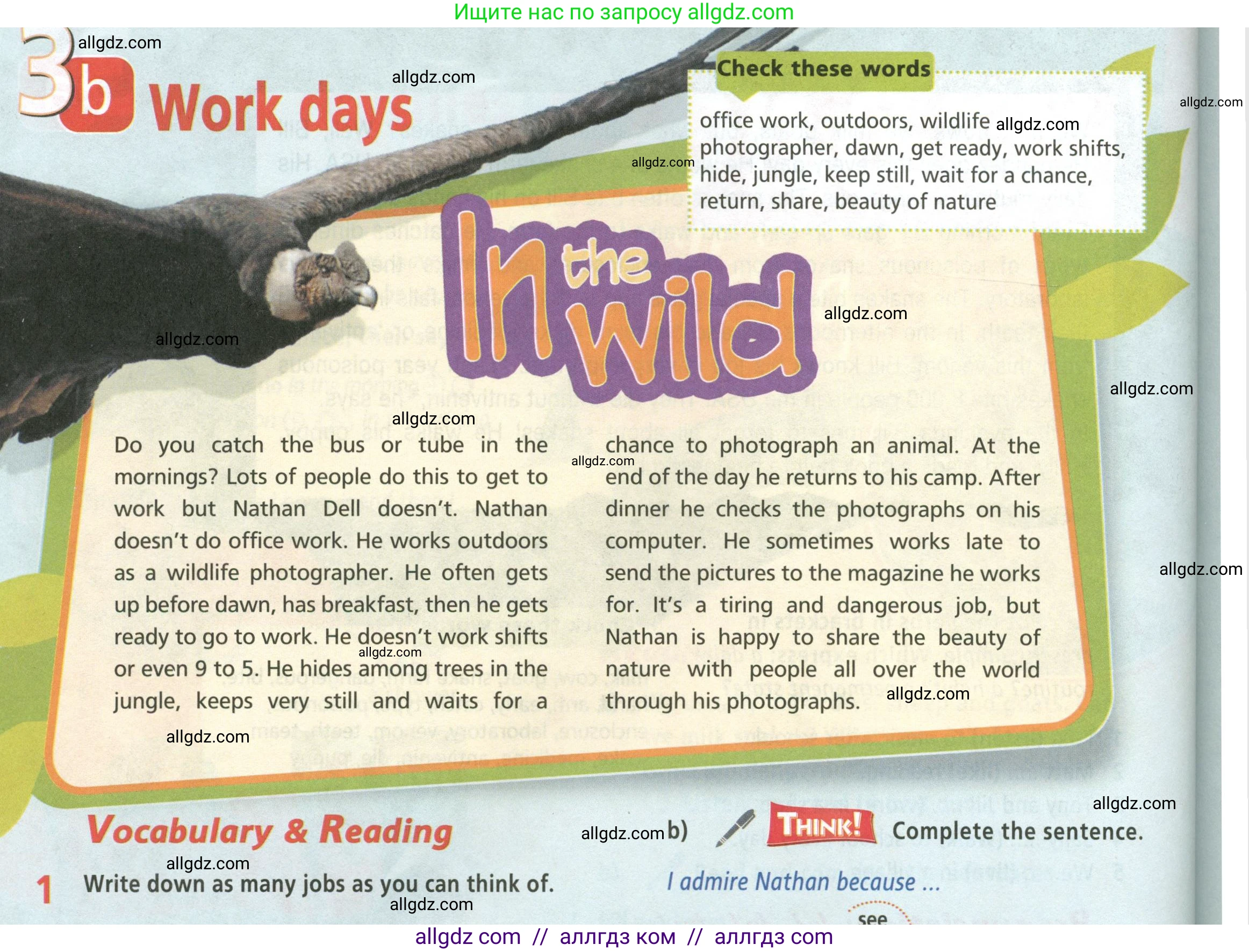 Английский язык (english), 5 класс Учебник (Student's book), авторы: Баранова Ксения Михайловна (Baranova Ksenia), Дули Дженни (Dooley Jenny), Копылова Виктория Викторовна (Kopylova Victoria), Мильруд Радислав Петрович (Millrood Radislav), Эванс Вирджиния (Evans Virginia), издательство Просвещение, Москва, 2023, белого цвета, страница 46, номер 1, Условие