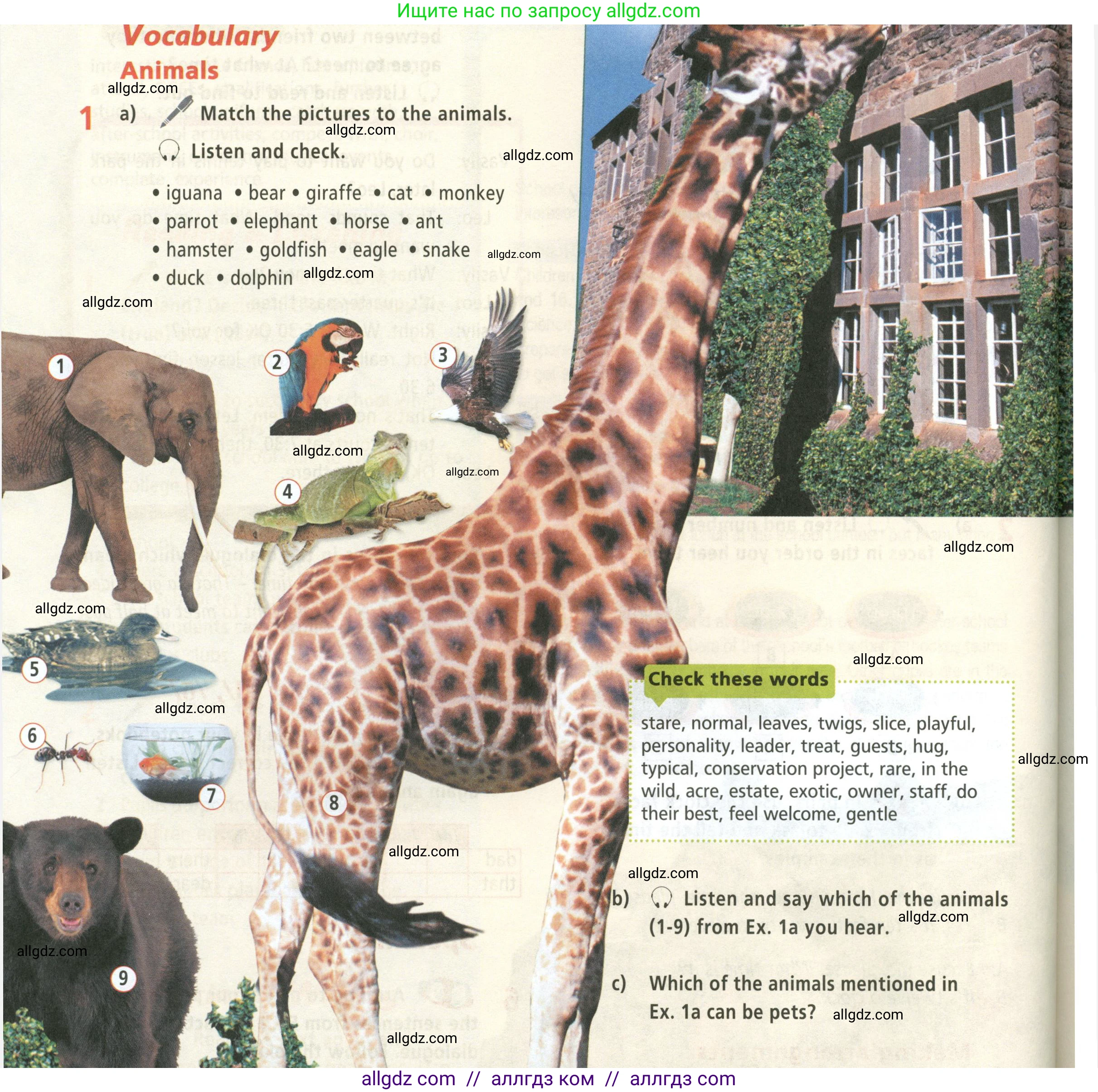 Английский язык (english), 5 класс Учебник (Student's book), авторы: Баранова Ксения Михайловна (Baranova Ksenia), Дули Дженни (Dooley Jenny), Копылова Виктория Викторовна (Kopylova Victoria), Мильруд Радислав Петрович (Millrood Radislav), Эванс Вирджиния (Evans Virginia), издательство Просвещение, Москва, 2023, белого цвета, страница 50, номер 1, Условие