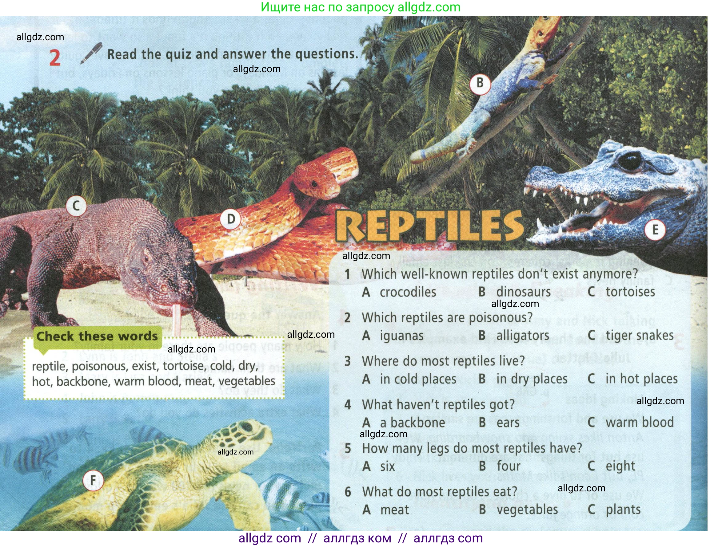 Английский язык (english), 5 класс Учебник (Student's book), авторы: Баранова Ксения Михайловна (Baranova Ksenia), Дули Дженни (Dooley Jenny), Копылова Виктория Викторовна (Kopylova Victoria), Мильруд Радислав Петрович (Millrood Radislav), Эванс Вирджиния (Evans Virginia), издательство Просвещение, Москва, 2023, белого цвета, страница 56, номер 2, Условие