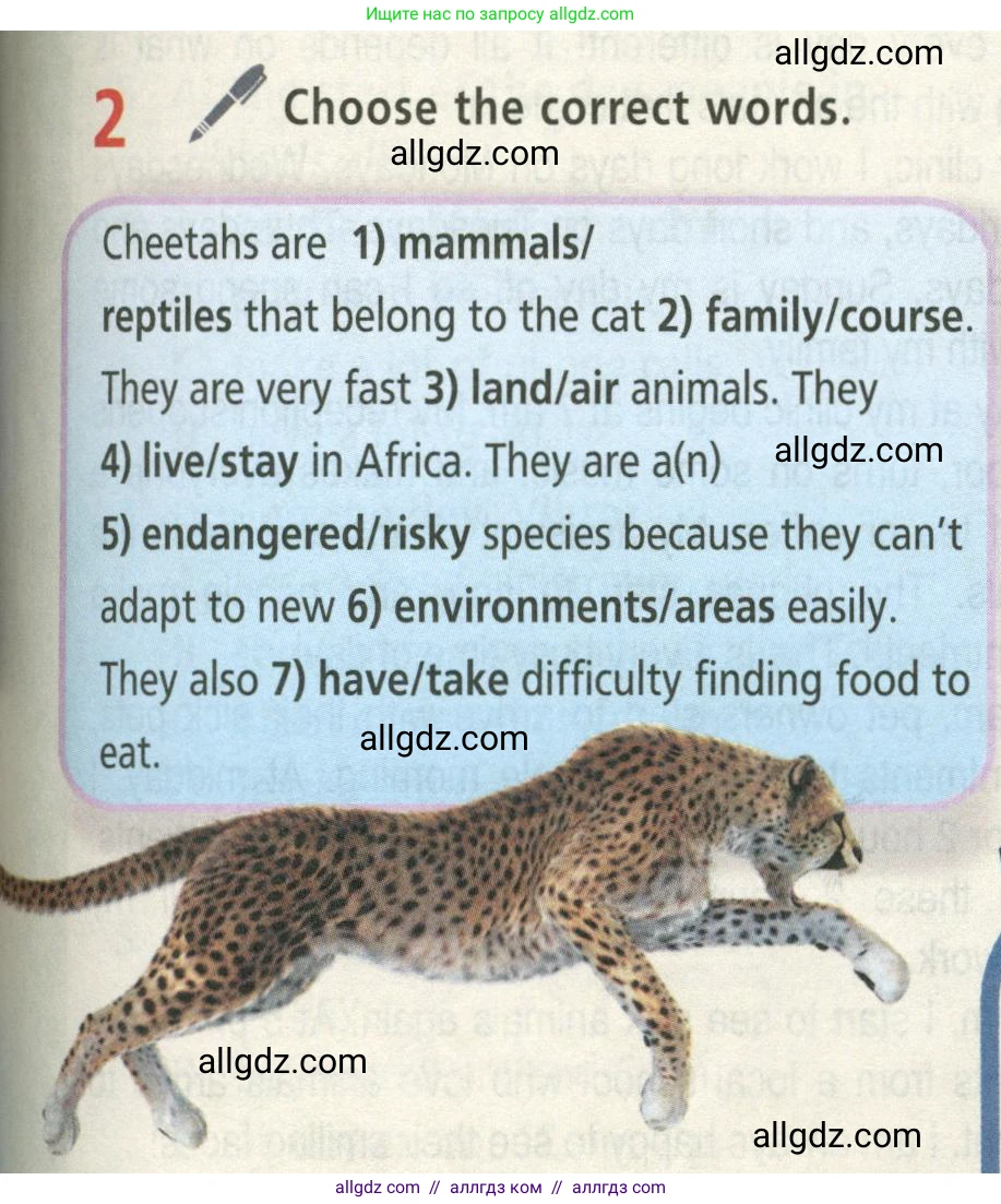 Английский язык (english), 5 класс Учебник (Student's book), авторы: Баранова Ксения Михайловна (Baranova Ksenia), Дули Дженни (Dooley Jenny), Копылова Виктория Викторовна (Kopylova Victoria), Мильруд Радислав Петрович (Millrood Radislav), Эванс Вирджиния (Evans Virginia), издательство Просвещение, Москва, 2023, белого цвета, страница 57, номер 2, Условие