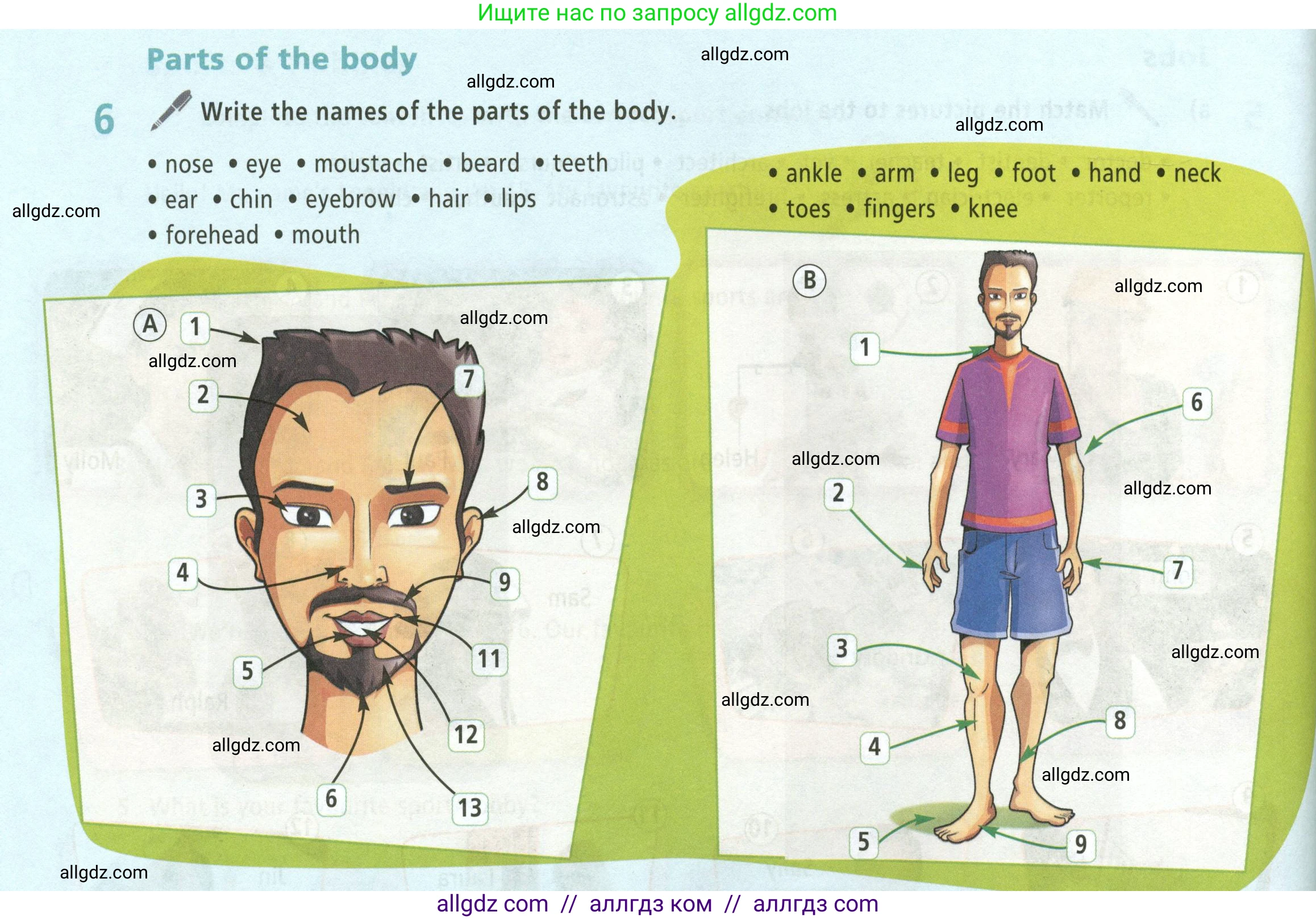 Английский язык (english), 5 класс Учебник (Student's book), авторы: Баранова Ксения Михайловна (Baranova Ksenia), Дули Дженни (Dooley Jenny), Копылова Виктория Викторовна (Kopylova Victoria), Мильруд Радислав Петрович (Millrood Radislav), Эванс Вирджиния (Evans Virginia), издательство Просвещение, Москва, 2023, белого цвета, страница 124, номер 6, Условие