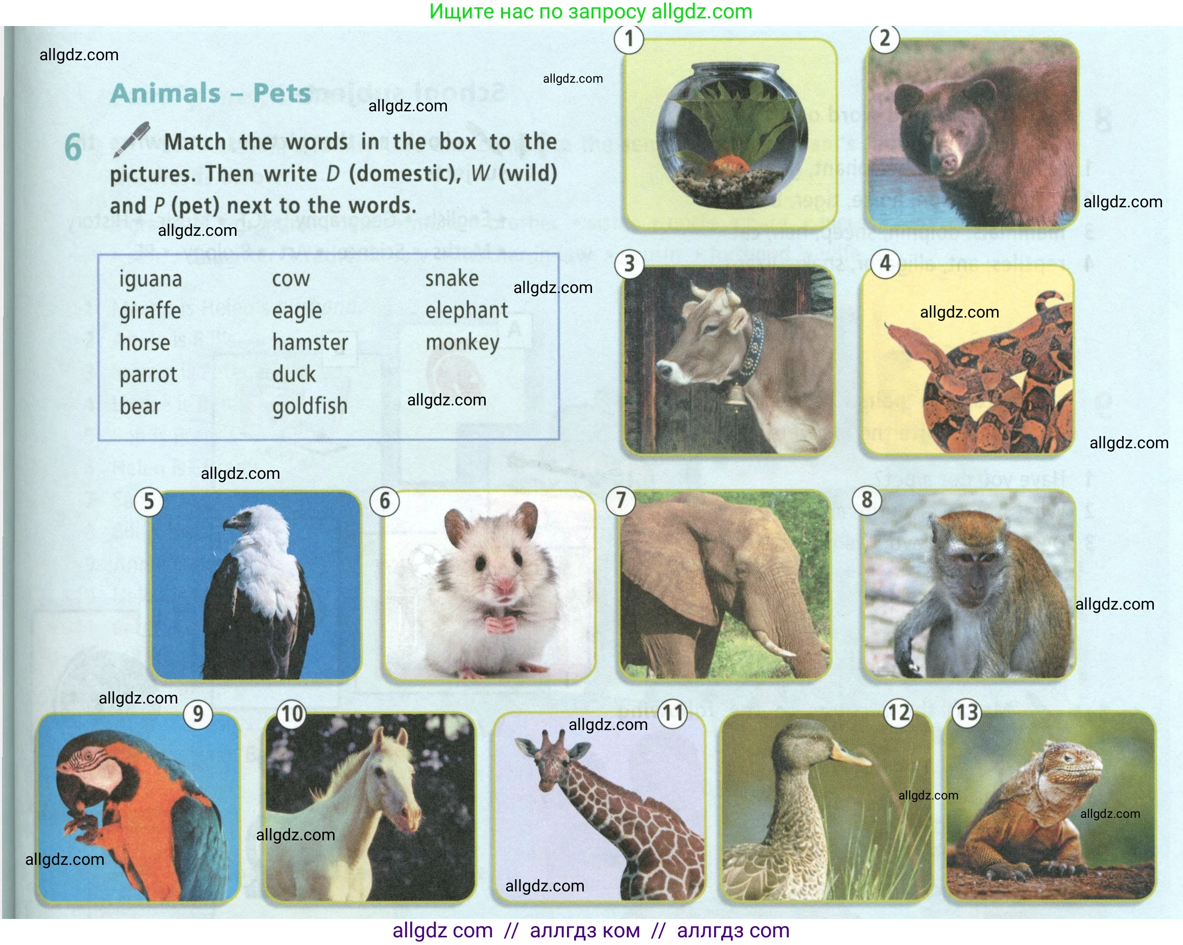 Английский язык (english), 5 класс Учебник (Student's book), авторы: Баранова Ксения Михайловна (Baranova Ksenia), Дули Дженни (Dooley Jenny), Копылова Виктория Викторовна (Kopylova Victoria), Мильруд Радислав Петрович (Millrood Radislav), Эванс Вирджиния (Evans Virginia), издательство Просвещение, Москва, 2023, белого цвета, страница 133, номер 6, Условие