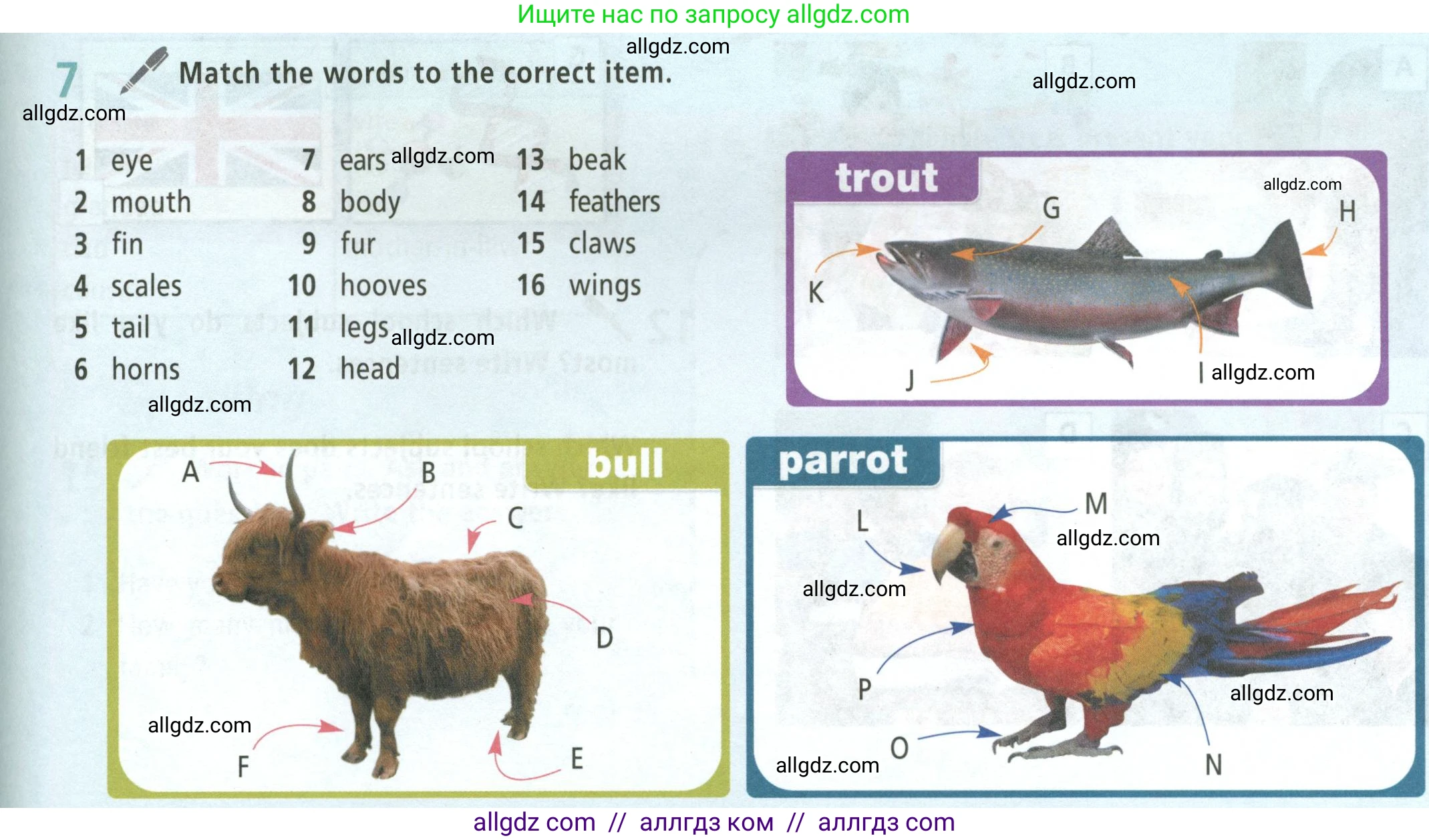 Английский язык (english), 5 класс Учебник (Student's book), авторы: Баранова Ксения Михайловна (Baranova Ksenia), Дули Дженни (Dooley Jenny), Копылова Виктория Викторовна (Kopylova Victoria), Мильруд Радислав Петрович (Millrood Radislav), Эванс Вирджиния (Evans Virginia), издательство Просвещение, Москва, 2023, белого цвета, страница 133, номер 7, Условие