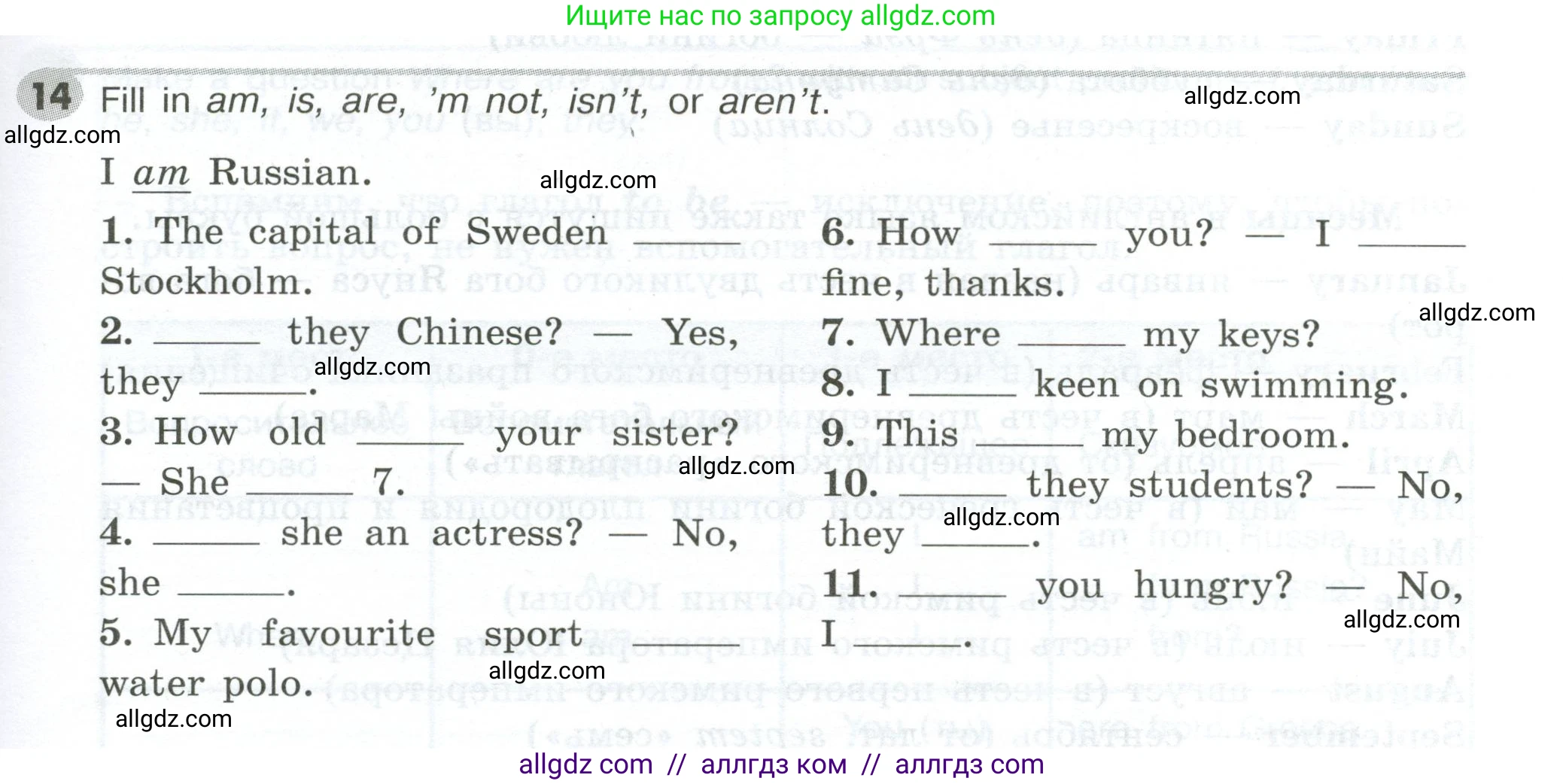 Английский язык (english), 5 класс Грамматический тренажёр, автор: Тимофеева Светлана Леонидовна, издательство Просвещение, Москва, 2023, оранжевого цвета, страница 19, номер 14, Условие 2023-2027