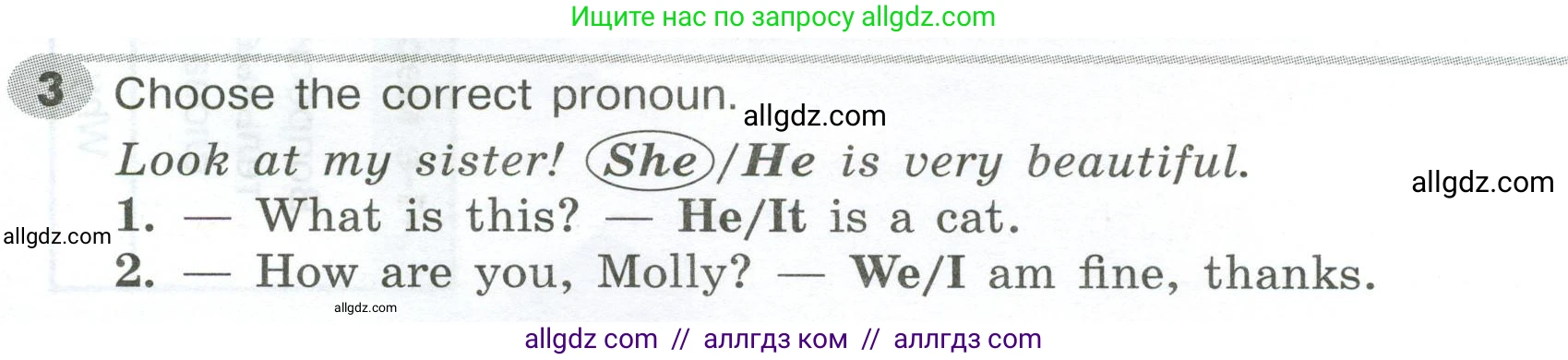 Английский язык (english), 5 класс Грамматический тренажёр, автор: Тимофеева Светлана Леонидовна, издательство Просвещение, Москва, 2023, оранжевого цвета, страница 10, номер 3, Условие 2023-2027