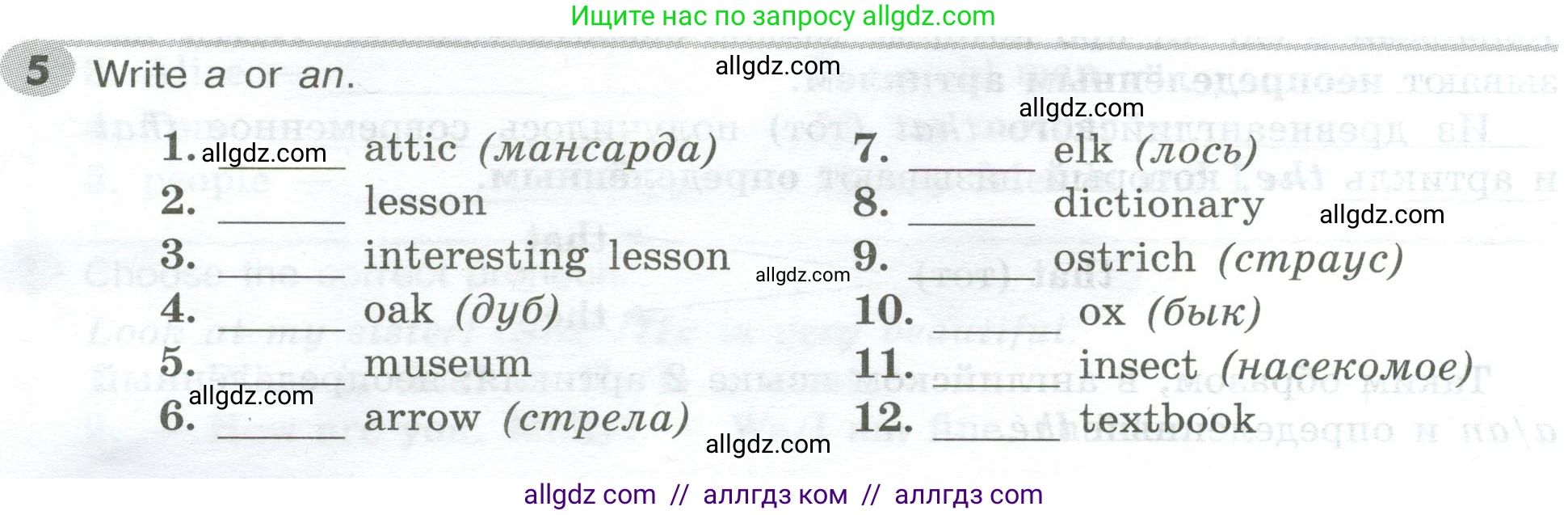 Английский язык (english), 5 класс Грамматический тренажёр, автор: Тимофеева Светлана Леонидовна, издательство Просвещение, Москва, 2023, оранжевого цвета, страница 12, номер 5, Условие 2023-2027