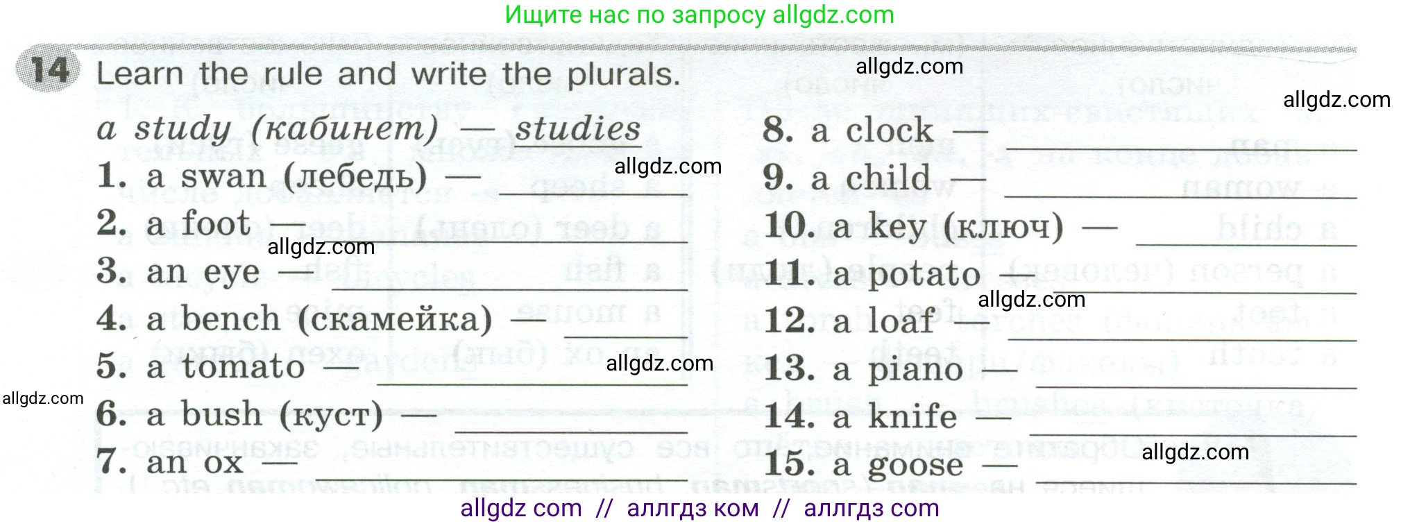 Английский язык (english), 5 класс Грамматический тренажёр, автор: Тимофеева Светлана Леонидовна, издательство Просвещение, Москва, 2023, оранжевого цвета, страница 32, номер 14, Условие 2023-2027