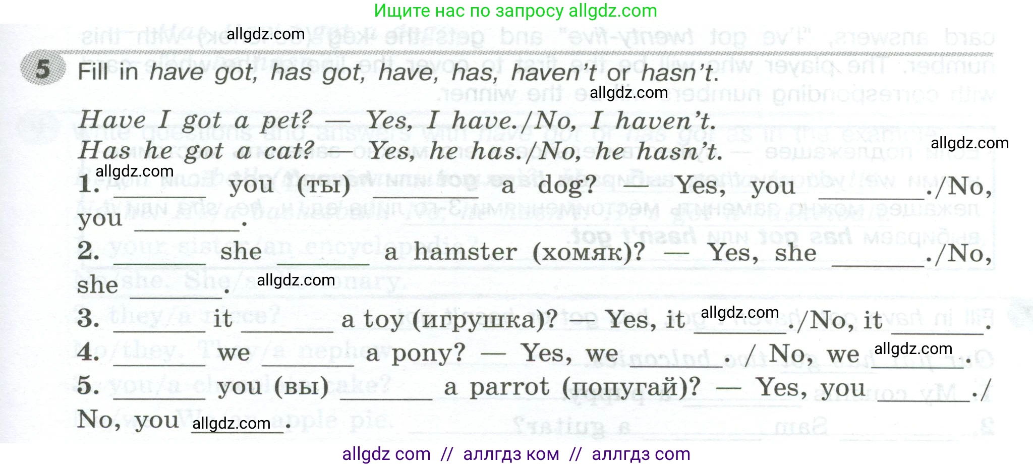 Английский язык (english), 5 класс Грамматический тренажёр, автор: Тимофеева Светлана Леонидовна, издательство Просвещение, Москва, 2023, оранжевого цвета, страница 25, номер 5, Условие 2023-2027