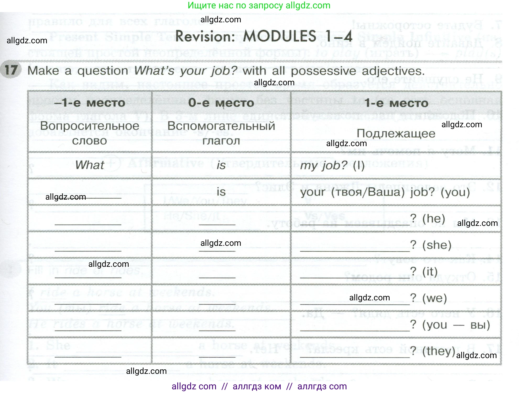 Английский язык (english), 5 класс Грамматический тренажёр, автор: Тимофеева Светлана Леонидовна, издательство Просвещение, Москва, 2023, оранжевого цвета, страница 59, номер 17, Условие 2023-2027