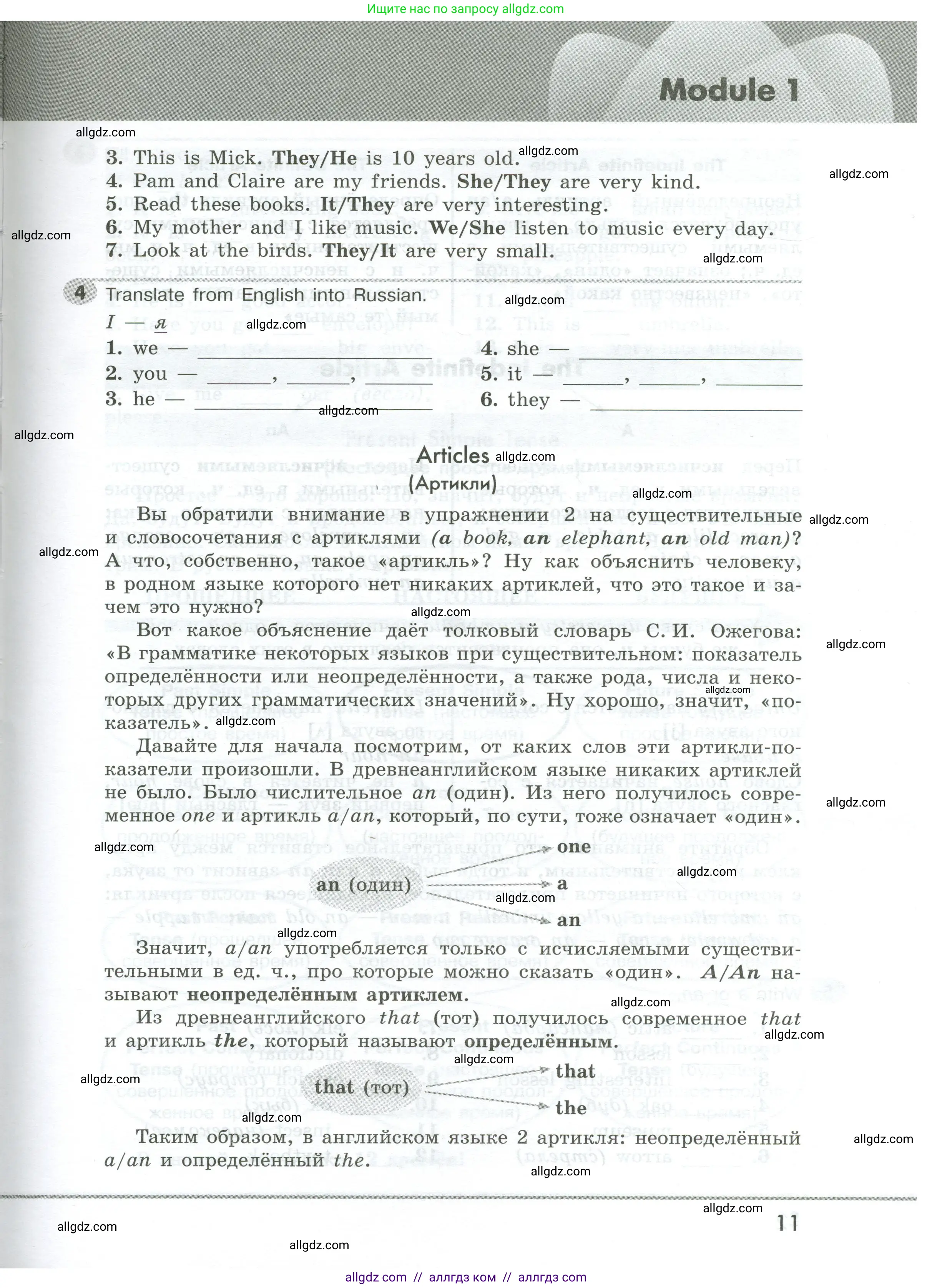 Английский язык (english), 5 класс Грамматический тренажёр, автор: Тимофеева Светлана Леонидовна, издательство Просвещение, Москва, 2023, оранжевого цвета, страница 11