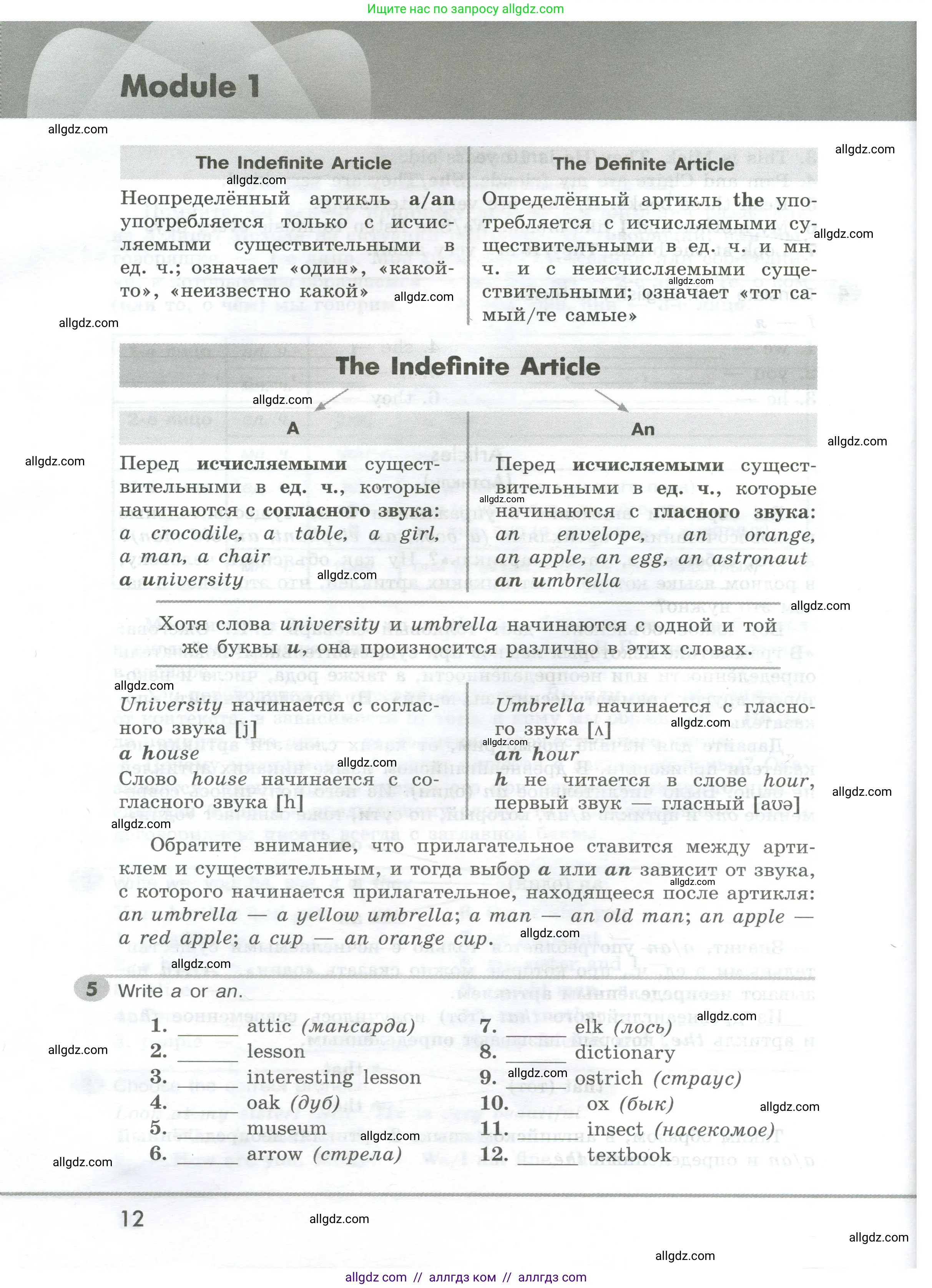 Английский язык (english), 5 класс Грамматический тренажёр, автор: Тимофеева Светлана Леонидовна, издательство Просвещение, Москва, 2023, оранжевого цвета, страница 12