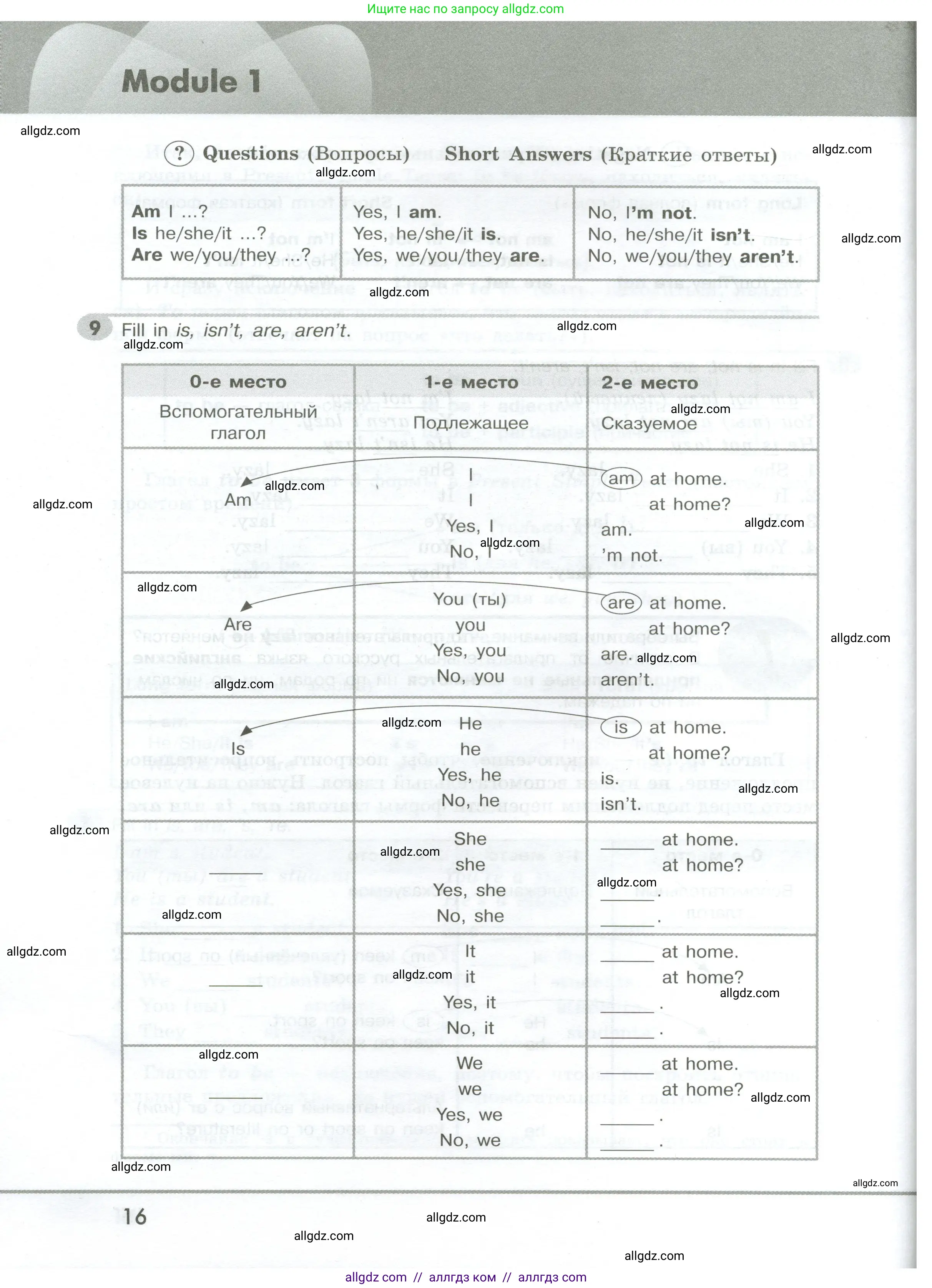 Английский язык (english), 5 класс Грамматический тренажёр, автор: Тимофеева Светлана Леонидовна, издательство Просвещение, Москва, 2023, оранжевого цвета, страница 16
