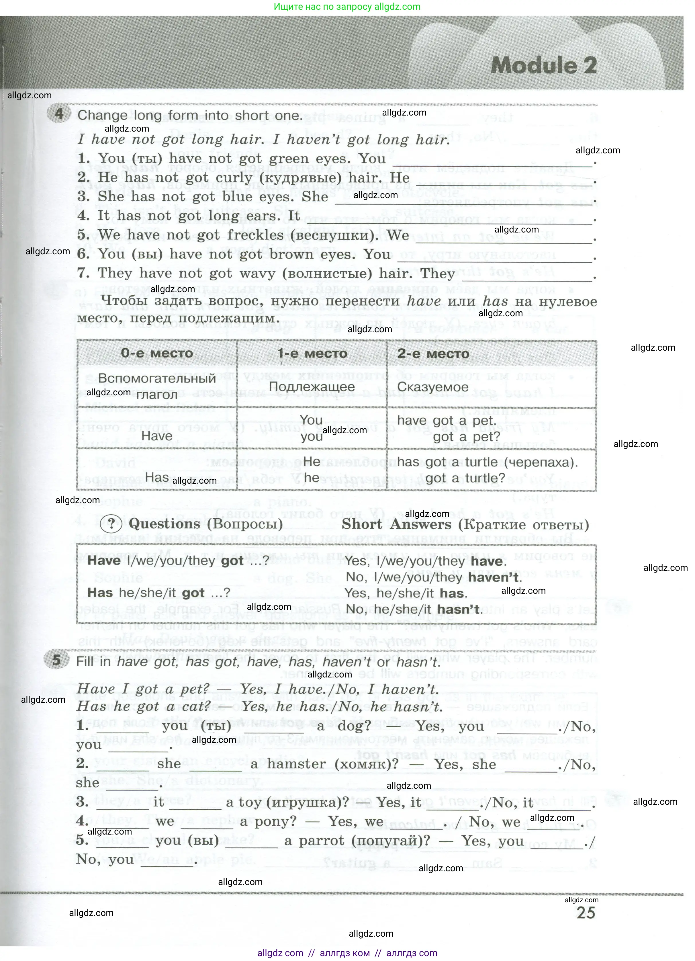 Английский язык (english), 5 класс Грамматический тренажёр, автор: Тимофеева Светлана Леонидовна, издательство Просвещение, Москва, 2023, оранжевого цвета, страница 25