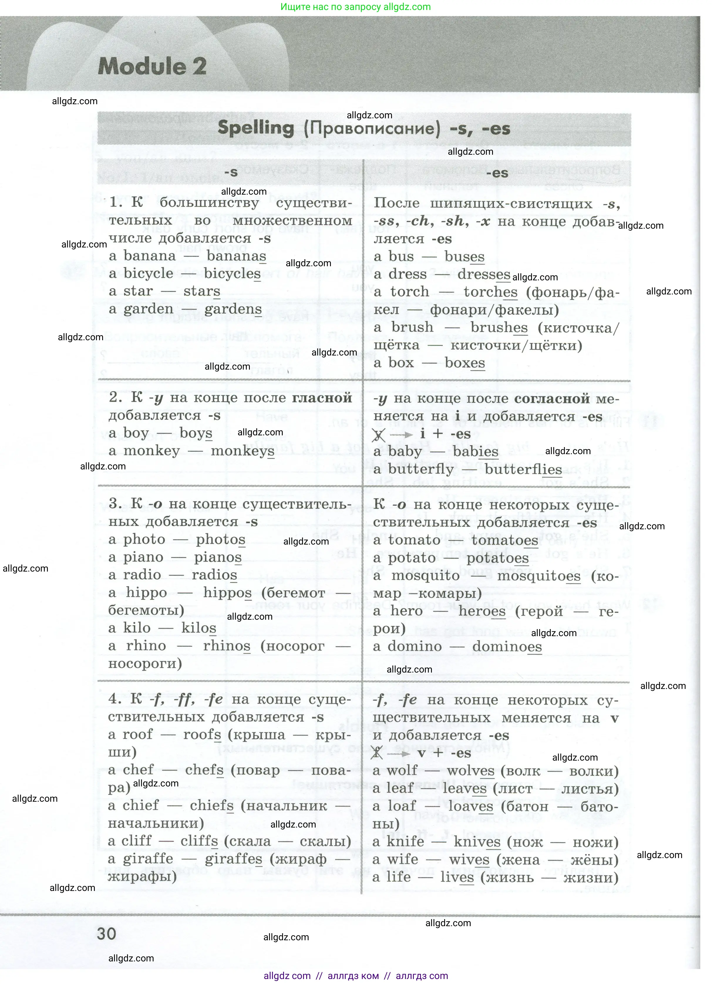 Английский язык (english), 5 класс Грамматический тренажёр, автор: Тимофеева Светлана Леонидовна, издательство Просвещение, Москва, 2023, оранжевого цвета, страница 30