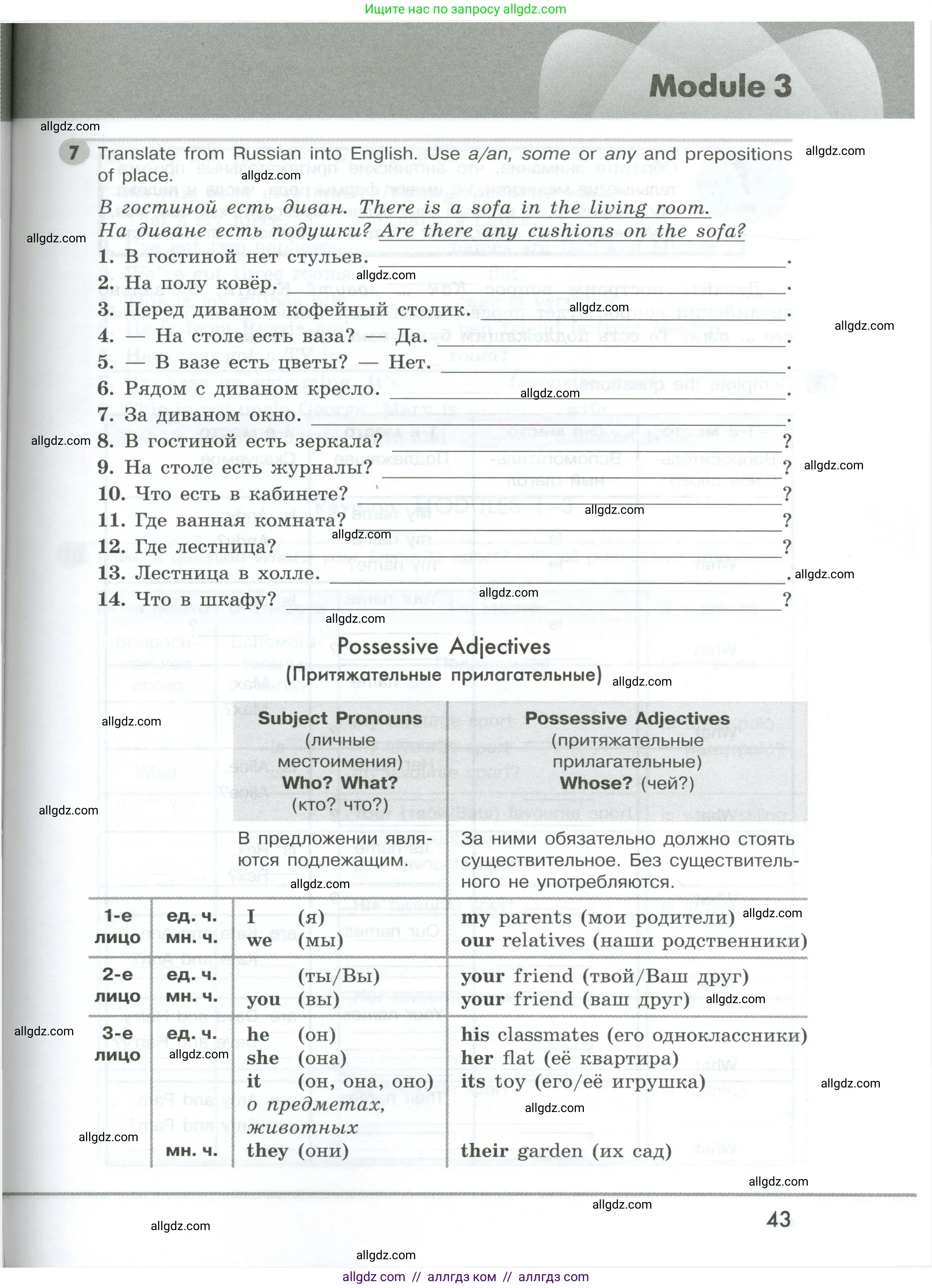 Английский язык (english), 5 класс Грамматический тренажёр, автор: Тимофеева Светлана Леонидовна, издательство Просвещение, Москва, 2023, оранжевого цвета, страница 43