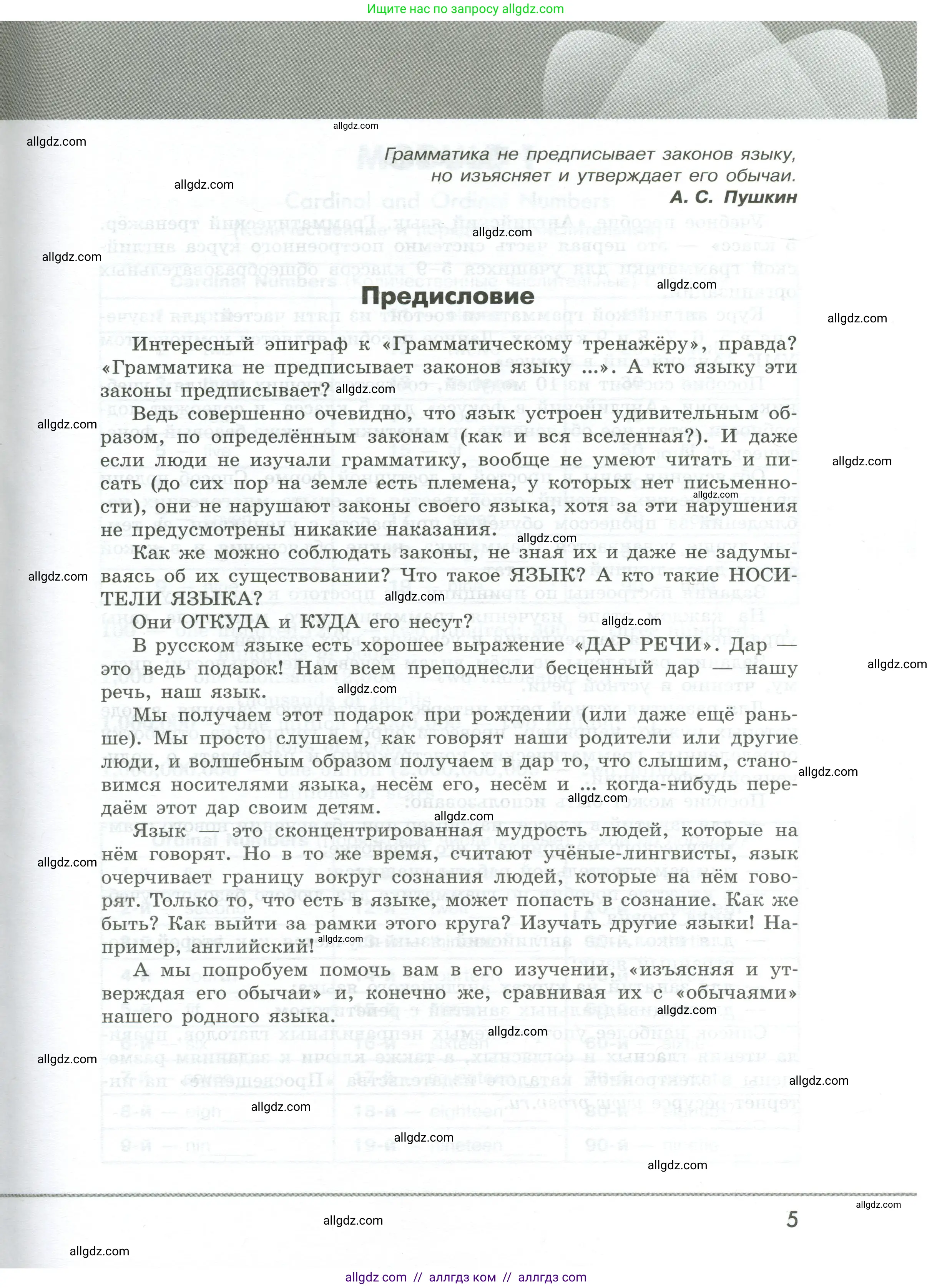 Английский язык (english), 5 класс Грамматический тренажёр, автор: Тимофеева Светлана Леонидовна, издательство Просвещение, Москва, 2023, оранжевого цвета, страница 5