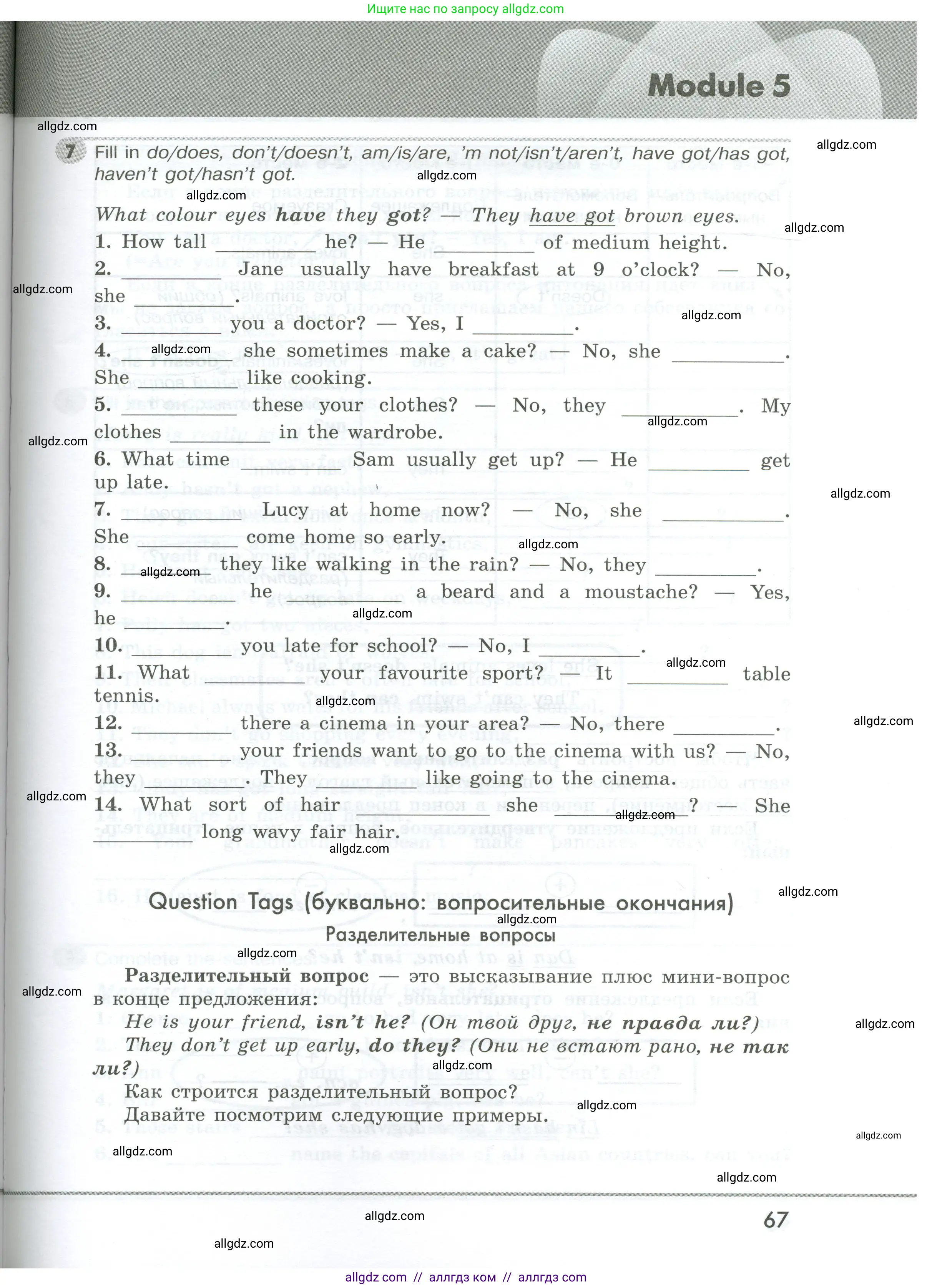 Английский язык (english), 5 класс Грамматический тренажёр, автор: Тимофеева Светлана Леонидовна, издательство Просвещение, Москва, 2023, оранжевого цвета, страница 67
