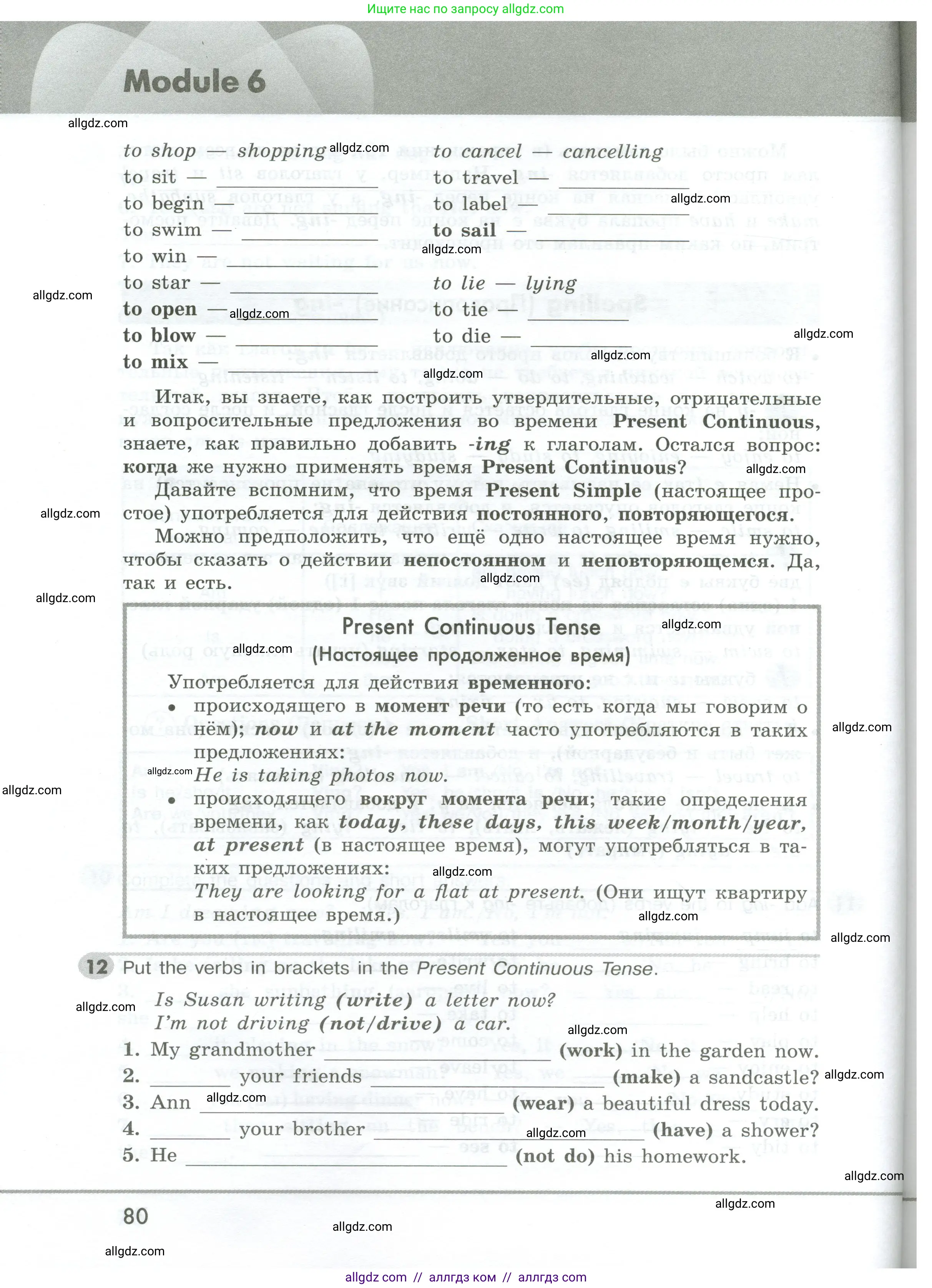 Английский язык (english), 5 класс Грамматический тренажёр, автор: Тимофеева Светлана Леонидовна, издательство Просвещение, Москва, 2023, оранжевого цвета, страница 80