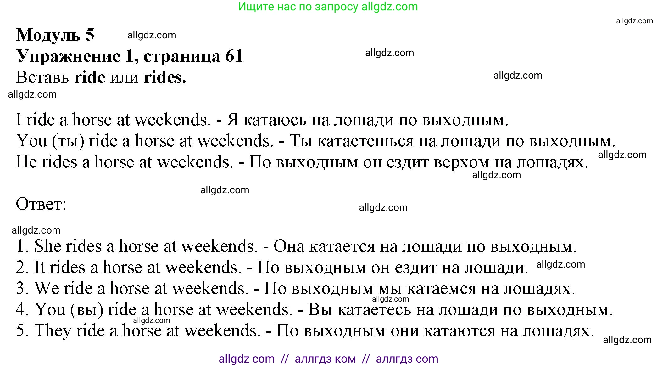 Английский язык (english), 5 класс Грамматический тренажёр, автор: Тимофеева Светлана Леонидовна, издательство Просвещение, Москва, 2023, оранжевого цвета, страница 61, номер 1, Решение 1 (2023-2027)