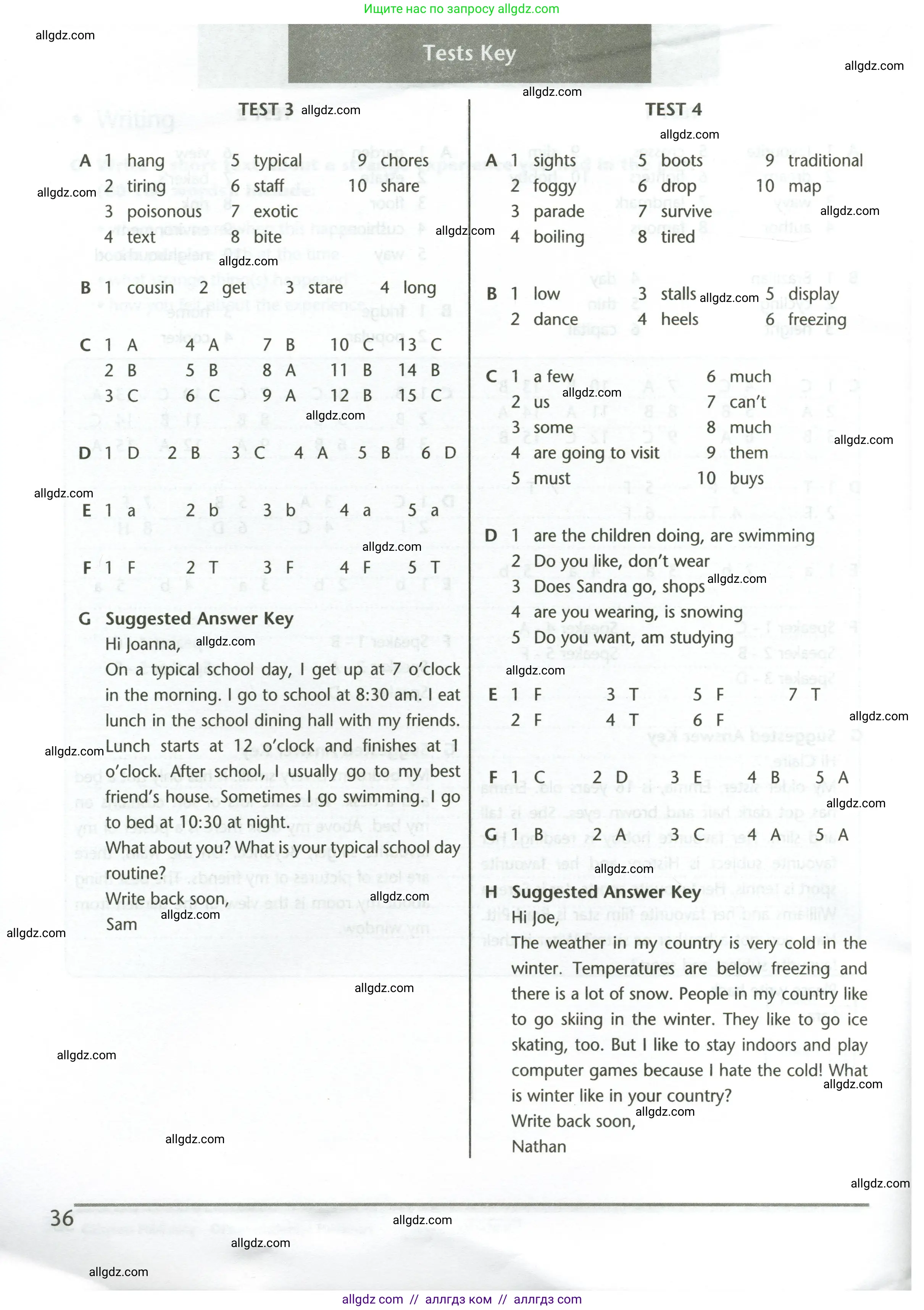 Английский язык (english), 5 класс контрольные задания (test booklet), авторы: Баранова Ксения Михайловна (Baranova Ksenia), Дули Дженни (Dooley Jenny), Копылова Виктория Викторовна (Kopylova Victoria), Мильруд Радислав Петрович (Millrood Radislav), Эванс Вирджиния (Evans Virginia), издательство Просвещение, Москва, 2023, серого цвета, страница 36