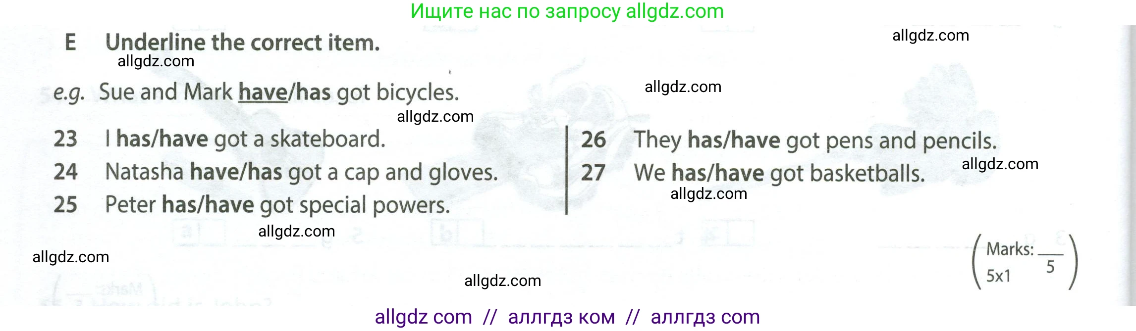 Английский язык (english), 5 класс контрольные задания (test booklet), авторы: Ваулина Юлия Евгеньевна (Vaulina Julia), Дули Дженни (Dooley Jenny), Подоляко Ольга Евгеньевна (Podolyako Olga), Эванс Вирджиния (Evans Virginia), издательство Просвещение, Москва, 2023, белого цвета, страница 14, номер E (23-27), Условие 2023-2027