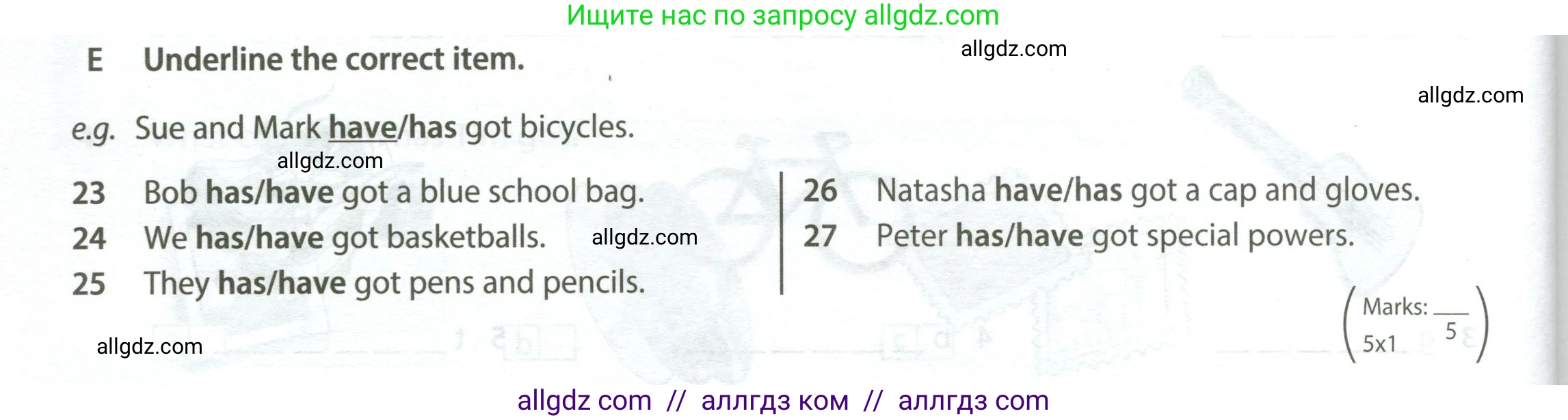 Английский язык (english), 5 класс контрольные задания (test booklet), авторы: Ваулина Юлия Евгеньевна (Vaulina Julia), Дули Дженни (Dooley Jenny), Подоляко Ольга Евгеньевна (Podolyako Olga), Эванс Вирджиния (Evans Virginia), издательство Просвещение, Москва, 2023, белого цвета, страница 18, номер E (23-27), Условие 2023-2027