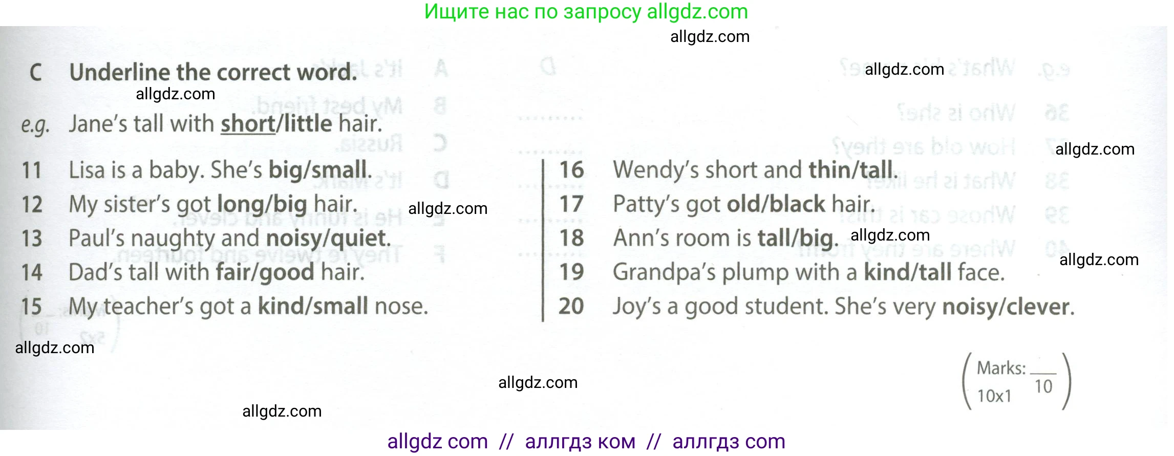 Английский язык (english), 5 класс контрольные задания (test booklet), авторы: Ваулина Юлия Евгеньевна (Vaulina Julia), Дули Дженни (Dooley Jenny), Подоляко Ольга Евгеньевна (Podolyako Olga), Эванс Вирджиния (Evans Virginia), издательство Просвещение, Москва, 2023, белого цвета, страница 29, номер C (11-20), Условие 2023-2027