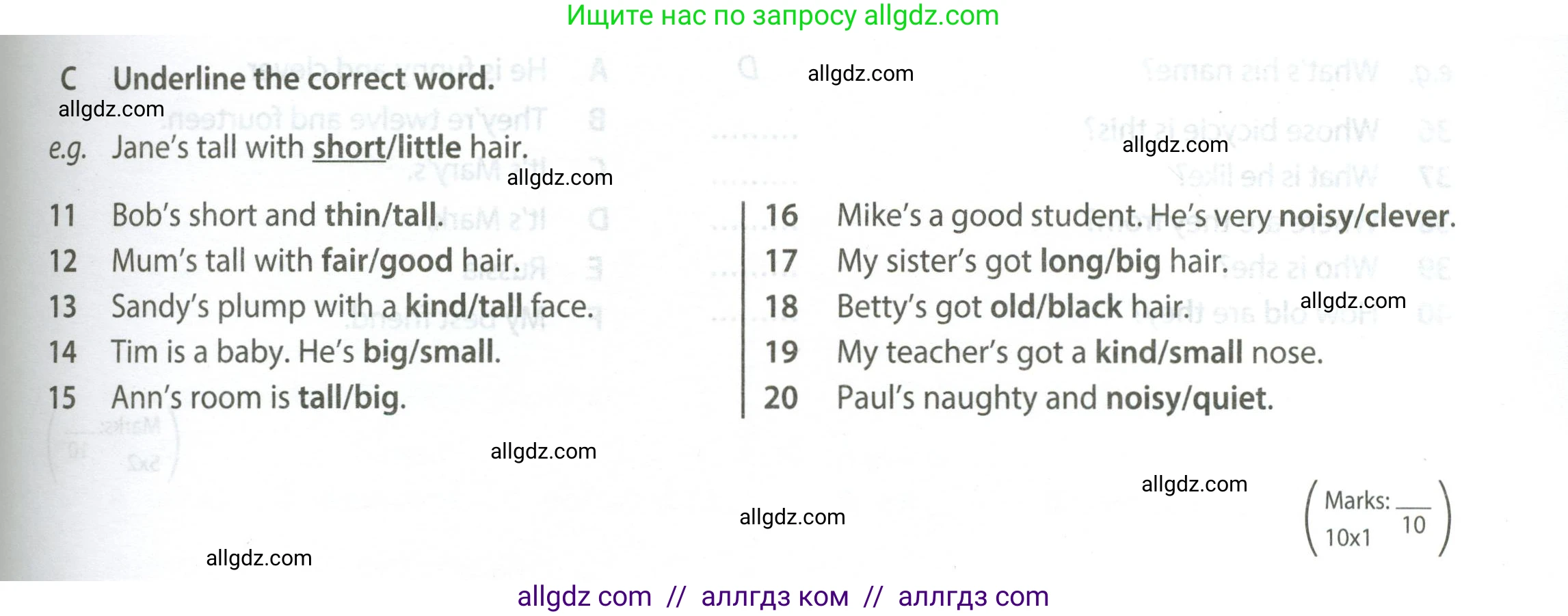 Английский язык (english), 5 класс контрольные задания (test booklet), авторы: Ваулина Юлия Евгеньевна (Vaulina Julia), Дули Дженни (Dooley Jenny), Подоляко Ольга Евгеньевна (Podolyako Olga), Эванс Вирджиния (Evans Virginia), издательство Просвещение, Москва, 2023, белого цвета, страница 33, номер C (11-20), Условие 2023-2027