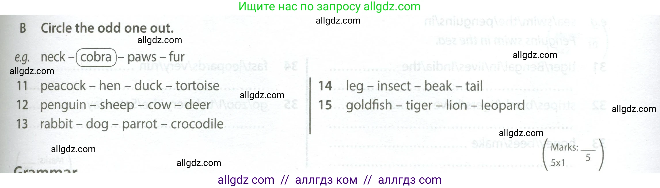 Английский язык (english), 5 класс контрольные задания (test booklet), авторы: Ваулина Юлия Евгеньевна (Vaulina Julia), Дули Дженни (Dooley Jenny), Подоляко Ольга Евгеньевна (Podolyako Olga), Эванс Вирджиния (Evans Virginia), издательство Просвещение, Москва, 2023, белого цвета, страница 37, номер B (11-15), Условие 2023-2027