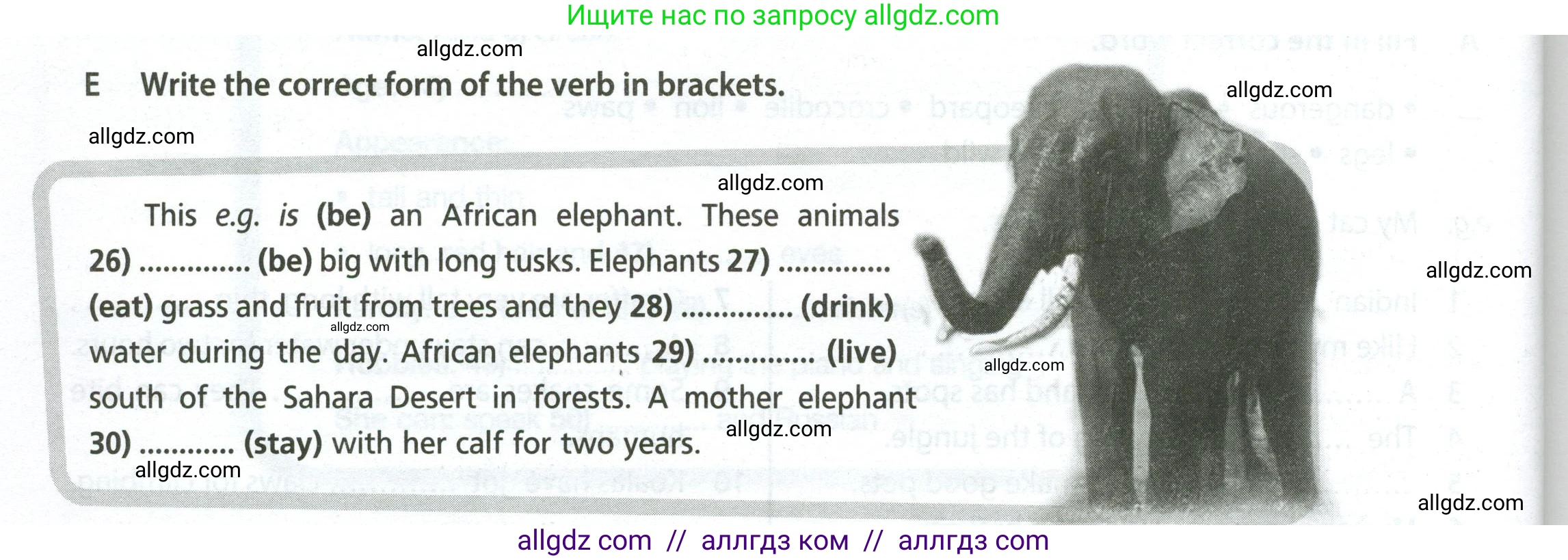 Английский язык (english), 5 класс контрольные задания (test booklet), авторы: Ваулина Юлия Евгеньевна (Vaulina Julia), Дули Дженни (Dooley Jenny), Подоляко Ольга Евгеньевна (Podolyako Olga), Эванс Вирджиния (Evans Virginia), издательство Просвещение, Москва, 2023, белого цвета, страница 38, номер E (26-30), Условие 2023-2027