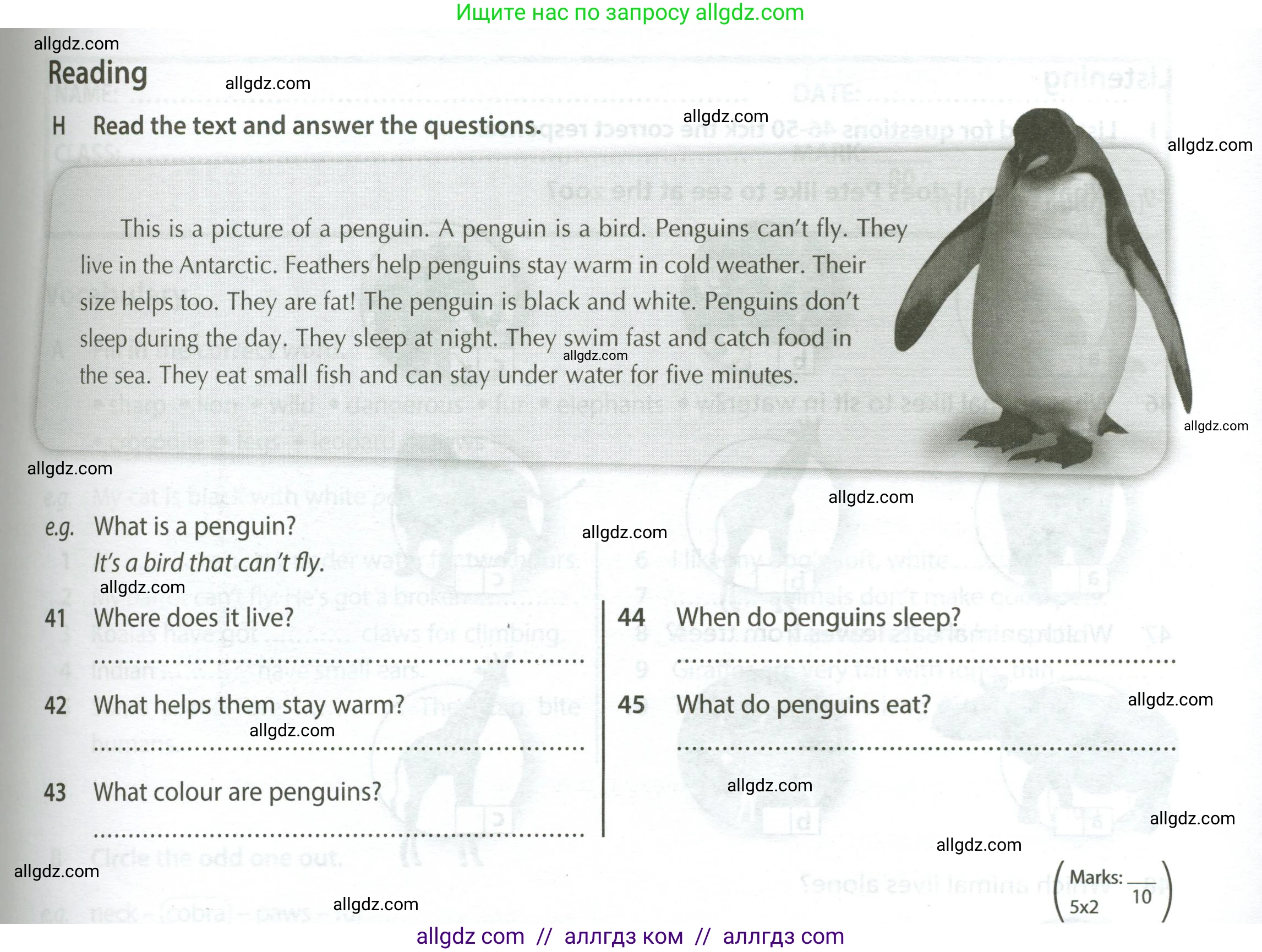 Английский язык (english), 5 класс контрольные задания (test booklet), авторы: Ваулина Юлия Евгеньевна (Vaulina Julia), Дули Дженни (Dooley Jenny), Подоляко Ольга Евгеньевна (Podolyako Olga), Эванс Вирджиния (Evans Virginia), издательство Просвещение, Москва, 2023, белого цвета, страница 39, номер H (41-45), Условие 2023-2027