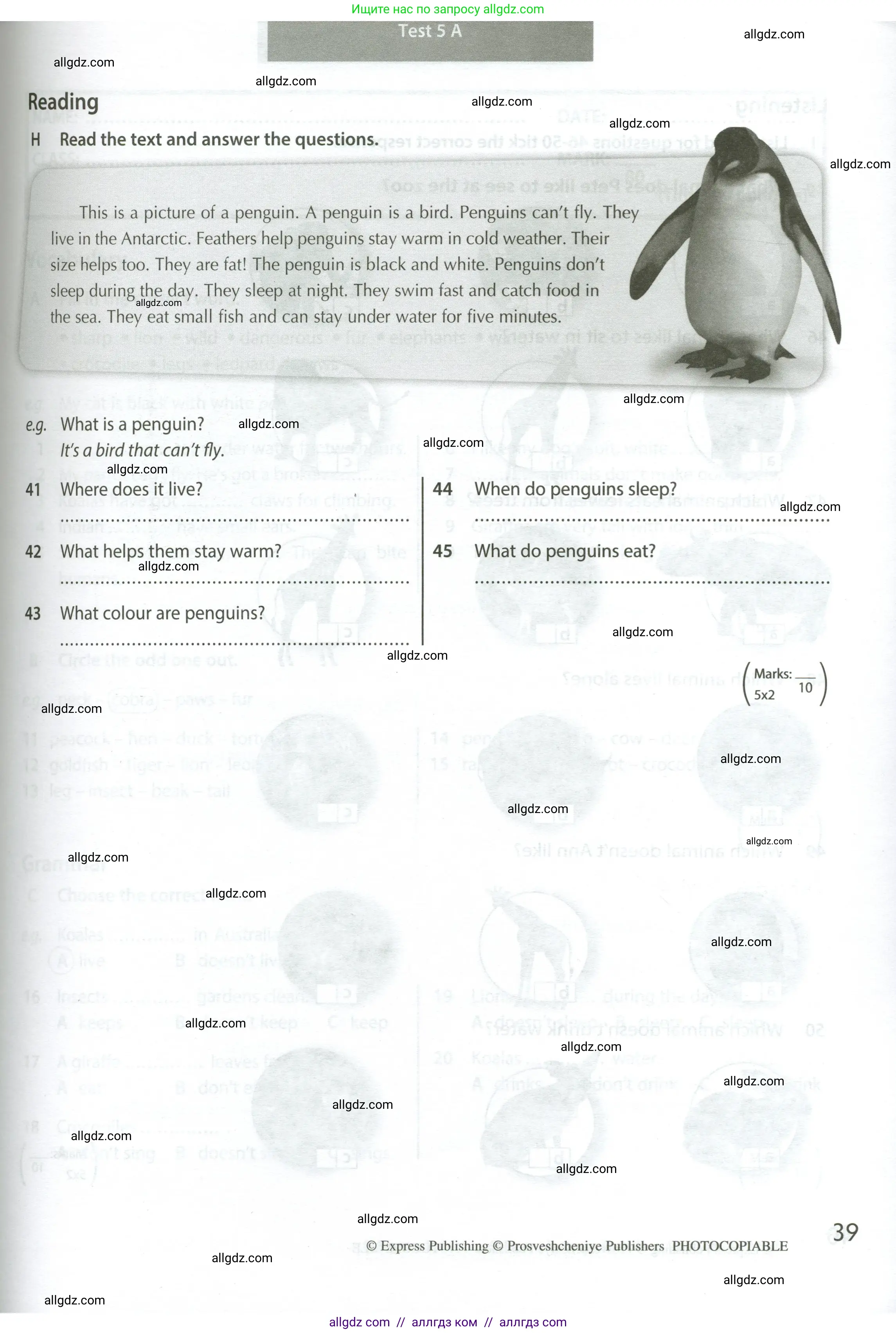 Английский язык (english), 5 класс контрольные задания (test booklet), авторы: Ваулина Юлия Евгеньевна (Vaulina Julia), Дули Дженни (Dooley Jenny), Подоляко Ольга Евгеньевна (Podolyako Olga), Эванс Вирджиния (Evans Virginia), издательство Просвещение, Москва, 2023, белого цвета, страница 39