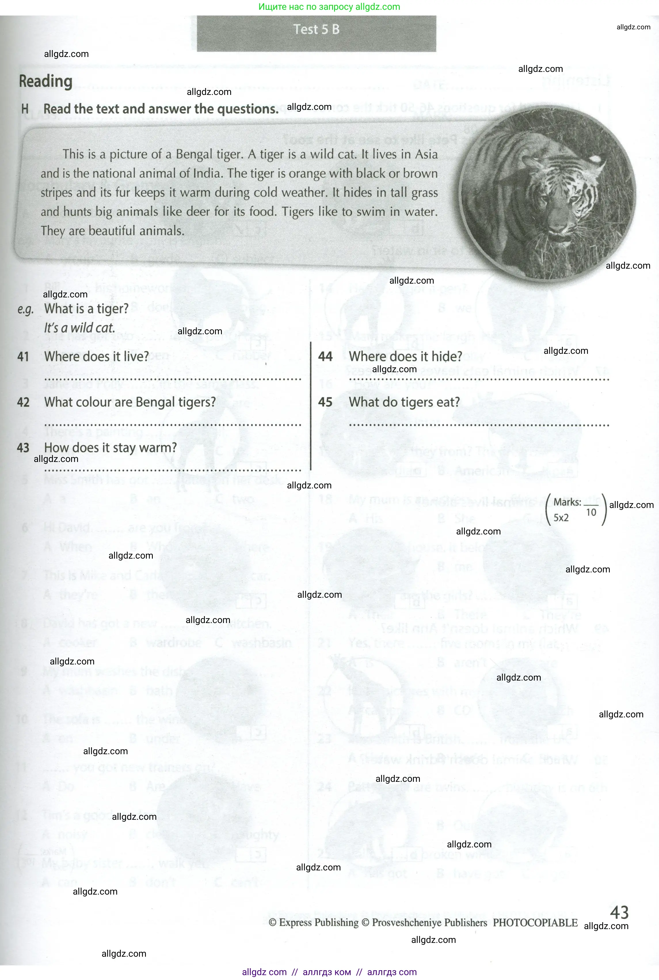 Английский язык (english), 5 класс контрольные задания (test booklet), авторы: Ваулина Юлия Евгеньевна (Vaulina Julia), Дули Дженни (Dooley Jenny), Подоляко Ольга Евгеньевна (Podolyako Olga), Эванс Вирджиния (Evans Virginia), издательство Просвещение, Москва, 2023, белого цвета, страница 43