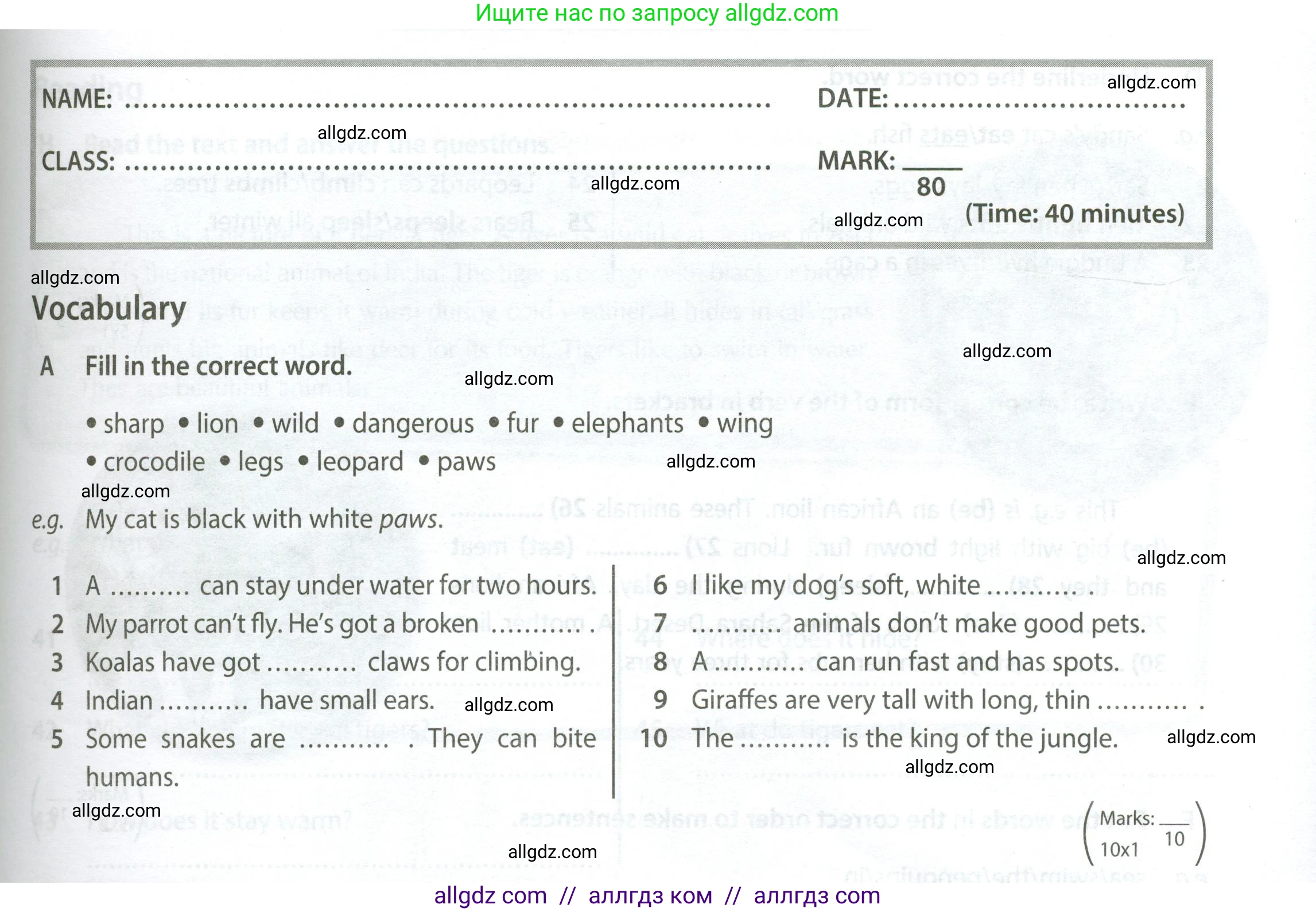 Английский язык (english), 5 класс контрольные задания (test booklet), авторы: Ваулина Юлия Евгеньевна (Vaulina Julia), Дули Дженни (Dooley Jenny), Подоляко Ольга Евгеньевна (Podolyako Olga), Эванс Вирджиния (Evans Virginia), издательство Просвещение, Москва, 2023, белого цвета, страница 41, номер A (1-10), Условие 2023-2027