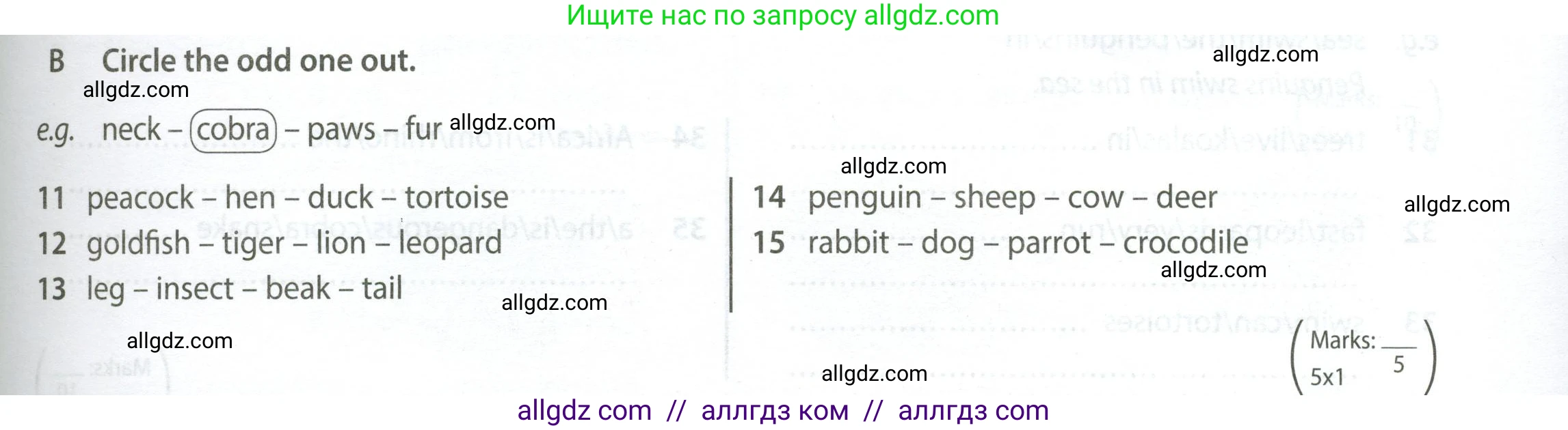 Английский язык (english), 5 класс контрольные задания (test booklet), авторы: Ваулина Юлия Евгеньевна (Vaulina Julia), Дули Дженни (Dooley Jenny), Подоляко Ольга Евгеньевна (Podolyako Olga), Эванс Вирджиния (Evans Virginia), издательство Просвещение, Москва, 2023, белого цвета, страница 41, номер B (11-15), Условие 2023-2027