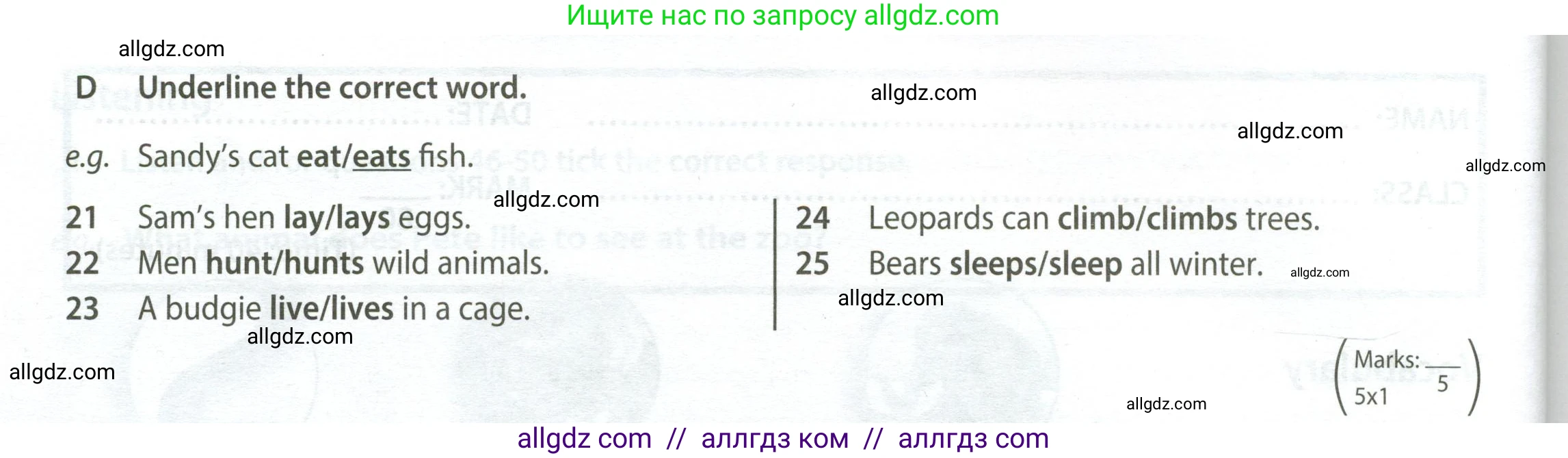 Английский язык (english), 5 класс контрольные задания (test booklet), авторы: Ваулина Юлия Евгеньевна (Vaulina Julia), Дули Дженни (Dooley Jenny), Подоляко Ольга Евгеньевна (Podolyako Olga), Эванс Вирджиния (Evans Virginia), издательство Просвещение, Москва, 2023, белого цвета, страница 42, номер D (21-25), Условие 2023-2027