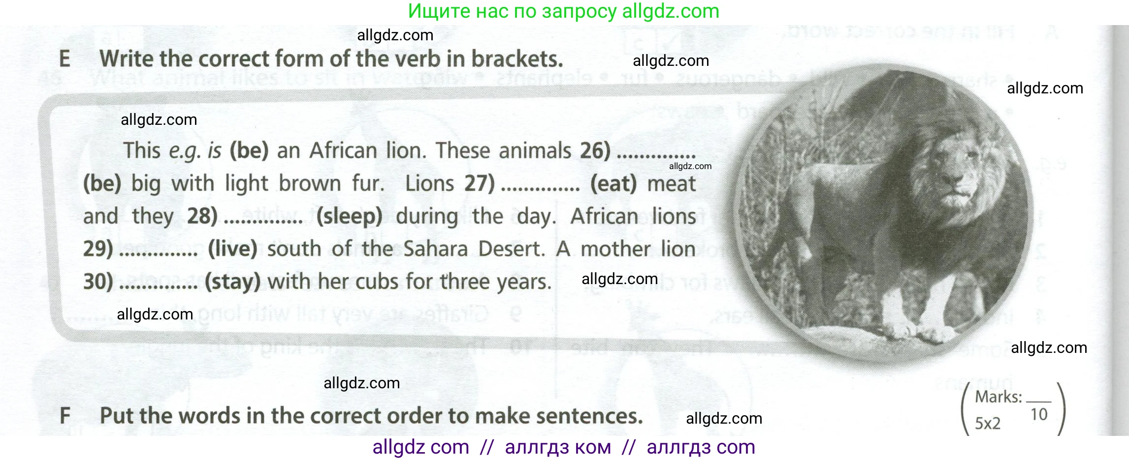 Английский язык (english), 5 класс контрольные задания (test booklet), авторы: Ваулина Юлия Евгеньевна (Vaulina Julia), Дули Дженни (Dooley Jenny), Подоляко Ольга Евгеньевна (Podolyako Olga), Эванс Вирджиния (Evans Virginia), издательство Просвещение, Москва, 2023, белого цвета, страница 42, номер E (26-30), Условие 2023-2027