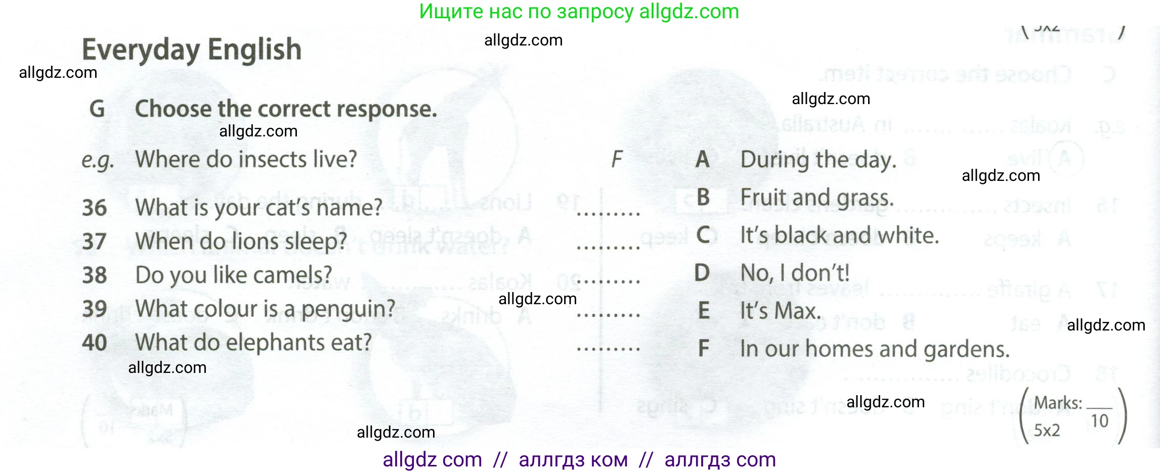 Английский язык (english), 5 класс контрольные задания (test booklet), авторы: Ваулина Юлия Евгеньевна (Vaulina Julia), Дули Дженни (Dooley Jenny), Подоляко Ольга Евгеньевна (Podolyako Olga), Эванс Вирджиния (Evans Virginia), издательство Просвещение, Москва, 2023, белого цвета, страница 42, номер G (36-40), Условие 2023-2027