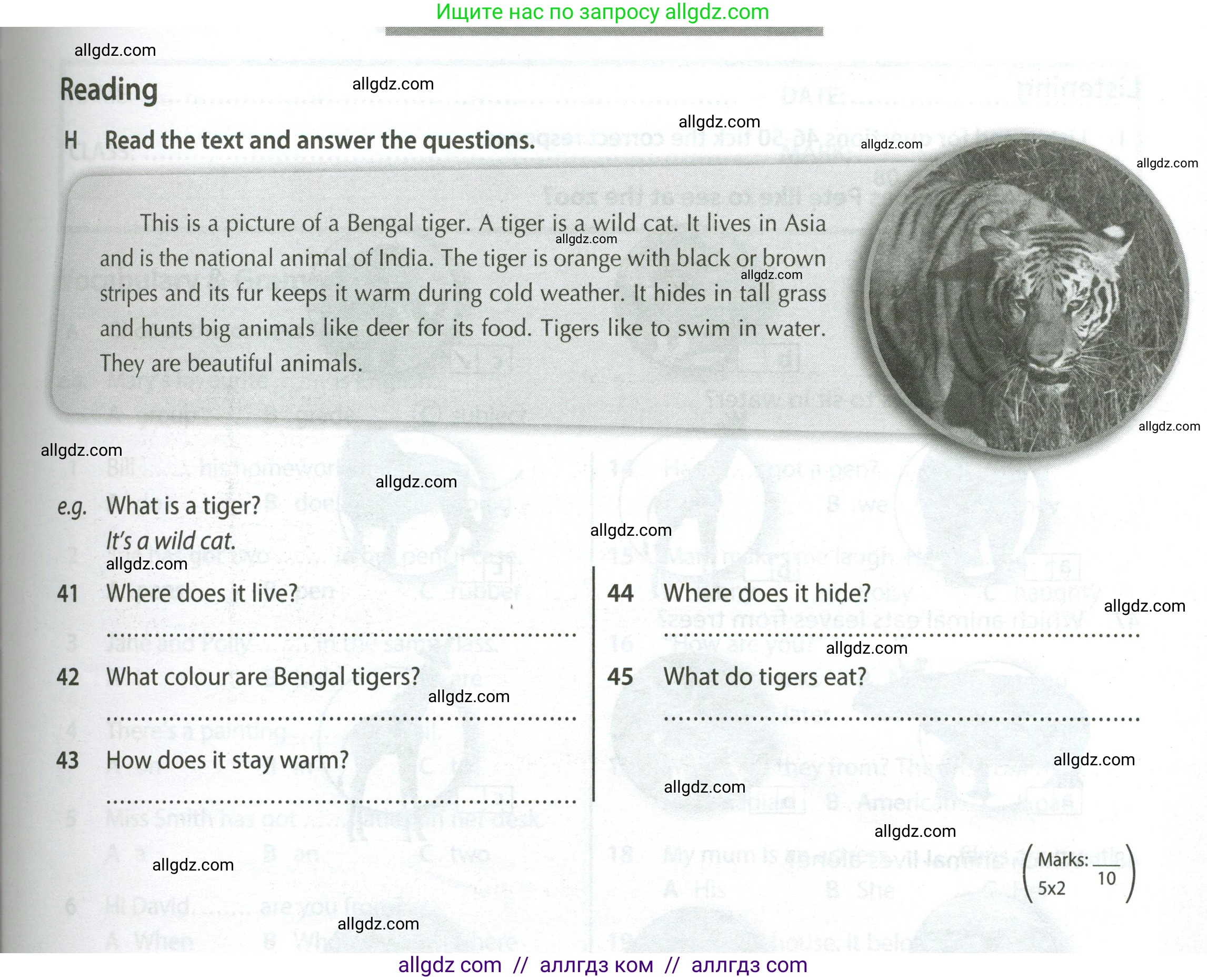 Английский язык (english), 5 класс контрольные задания (test booklet), авторы: Ваулина Юлия Евгеньевна (Vaulina Julia), Дули Дженни (Dooley Jenny), Подоляко Ольга Евгеньевна (Podolyako Olga), Эванс Вирджиния (Evans Virginia), издательство Просвещение, Москва, 2023, белого цвета, страница 43, номер H (41-45), Условие 2023-2027