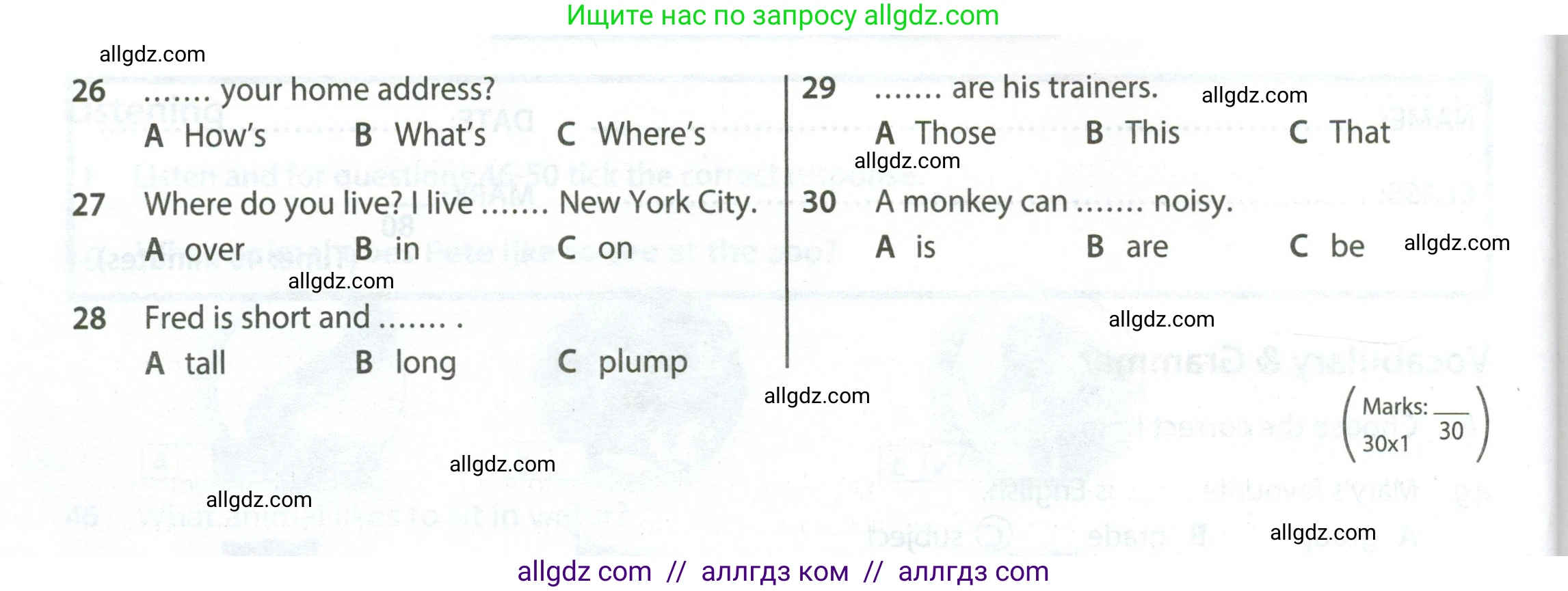 Английский язык (english), 5 класс контрольные задания (test booklet), авторы: Ваулина Юлия Евгеньевна (Vaulina Julia), Дули Дженни (Dooley Jenny), Подоляко Ольга Евгеньевна (Podolyako Olga), Эванс Вирджиния (Evans Virginia), издательство Просвещение, Москва, 2023, белого цвета, страница 45, номер A (1-30), Условие 2023-2027 (продолжение 2)