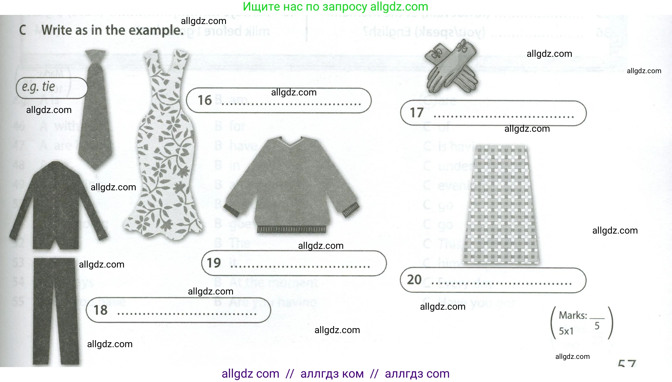 Английский язык (english), 5 класс контрольные задания (test booklet), авторы: Ваулина Юлия Евгеньевна (Vaulina Julia), Дули Дженни (Dooley Jenny), Подоляко Ольга Евгеньевна (Podolyako Olga), Эванс Вирджиния (Evans Virginia), издательство Просвещение, Москва, 2023, белого цвета, страница 57, номер C (16-20), Условие 2023-2027