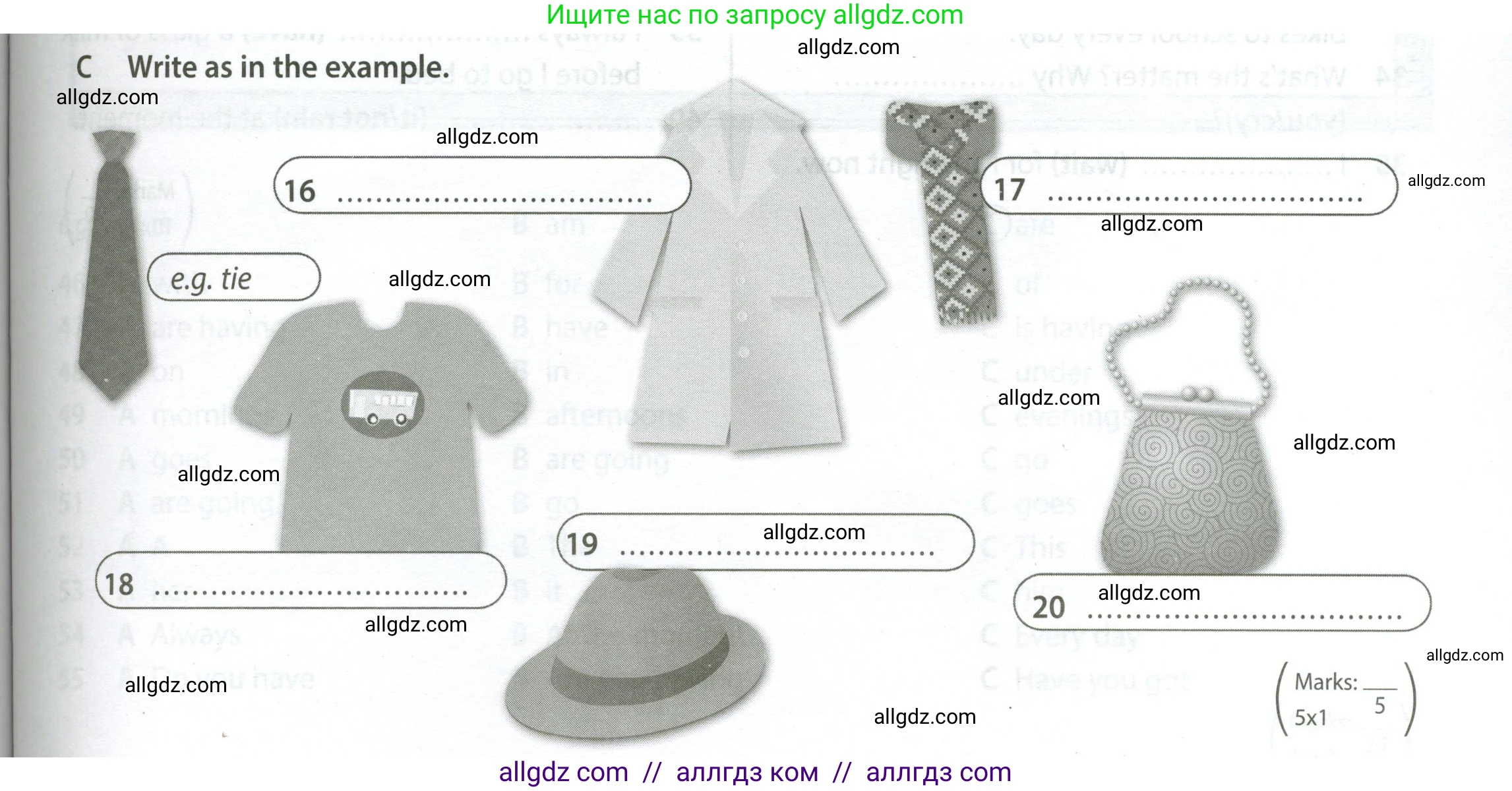 Английский язык (english), 5 класс контрольные задания (test booklet), авторы: Ваулина Юлия Евгеньевна (Vaulina Julia), Дули Дженни (Dooley Jenny), Подоляко Ольга Евгеньевна (Podolyako Olga), Эванс Вирджиния (Evans Virginia), издательство Просвещение, Москва, 2023, белого цвета, страница 61, номер C (16-20), Условие 2023-2027