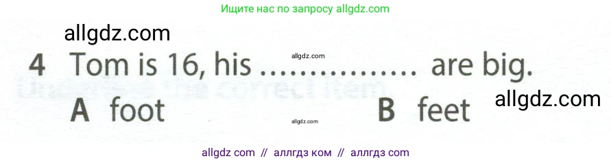Английский язык (english), 5 класс контрольные задания (test booklet), авторы: Ваулина Юлия Евгеньевна (Vaulina Julia), Дули Дженни (Dooley Jenny), Подоляко Ольга Евгеньевна (Podolyako Olga), Эванс Вирджиния (Evans Virginia), издательство Просвещение, Москва, 2023, белого цвета, страница 96, номер 4, Условие 2023-2027