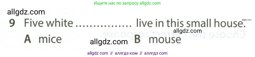 Английский язык (english), 5 класс контрольные задания (test booklet), авторы: Ваулина Юлия Евгеньевна (Vaulina Julia), Дули Дженни (Dooley Jenny), Подоляко Ольга Евгеньевна (Podolyako Olga), Эванс Вирджиния (Evans Virginia), издательство Просвещение, Москва, 2023, белого цвета, страница 96, номер 9, Условие 2023-2027
