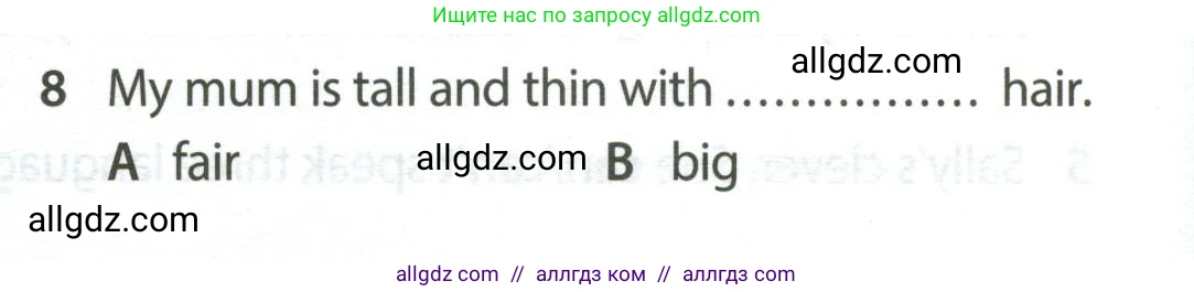 Английский язык (english), 5 класс контрольные задания (test booklet), авторы: Ваулина Юлия Евгеньевна (Vaulina Julia), Дули Дженни (Dooley Jenny), Подоляко Ольга Евгеньевна (Podolyako Olga), Эванс Вирджиния (Evans Virginia), издательство Просвещение, Москва, 2023, белого цвета, страница 102, номер 8, Условие 2023-2027