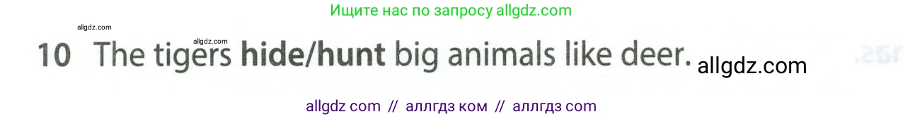 Английский язык (english), 5 класс контрольные задания (test booklet), авторы: Ваулина Юлия Евгеньевна (Vaulina Julia), Дули Дженни (Dooley Jenny), Подоляко Ольга Евгеньевна (Podolyako Olga), Эванс Вирджиния (Evans Virginia), издательство Просвещение, Москва, 2023, белого цвета, страница 104, номер 10, Условие 2023-2027