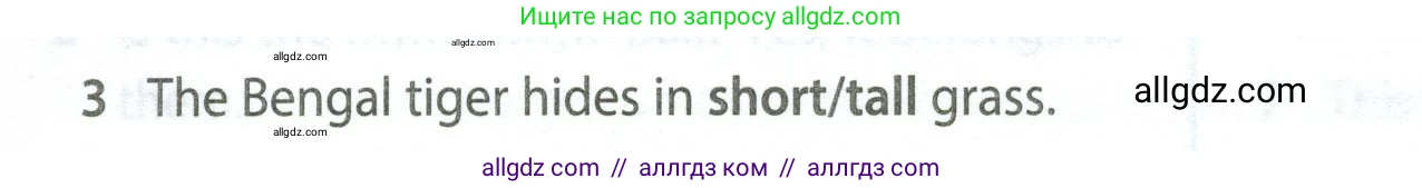 Английский язык (english), 5 класс контрольные задания (test booklet), авторы: Ваулина Юлия Евгеньевна (Vaulina Julia), Дули Дженни (Dooley Jenny), Подоляко Ольга Евгеньевна (Podolyako Olga), Эванс Вирджиния (Evans Virginia), издательство Просвещение, Москва, 2023, белого цвета, страница 104, номер 3, Условие 2023-2027