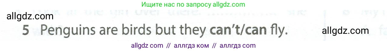 Английский язык (english), 5 класс контрольные задания (test booklet), авторы: Ваулина Юлия Евгеньевна (Vaulina Julia), Дули Дженни (Dooley Jenny), Подоляко Ольга Евгеньевна (Podolyako Olga), Эванс Вирджиния (Evans Virginia), издательство Просвещение, Москва, 2023, белого цвета, страница 104, номер 5, Условие 2023-2027