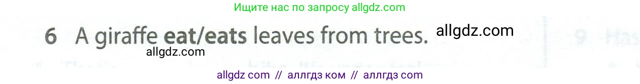 Английский язык (english), 5 класс контрольные задания (test booklet), авторы: Ваулина Юлия Евгеньевна (Vaulina Julia), Дули Дженни (Dooley Jenny), Подоляко Ольга Евгеньевна (Podolyako Olga), Эванс Вирджиния (Evans Virginia), издательство Просвещение, Москва, 2023, белого цвета, страница 104, номер 6, Условие 2023-2027