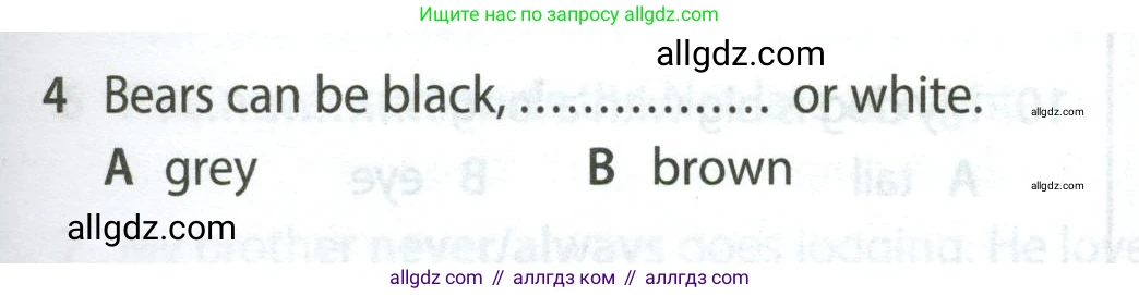 Английский язык (english), 5 класс контрольные задания (test booklet), авторы: Ваулина Юлия Евгеньевна (Vaulina Julia), Дули Дженни (Dooley Jenny), Подоляко Ольга Евгеньевна (Podolyako Olga), Эванс Вирджиния (Evans Virginia), издательство Просвещение, Москва, 2023, белого цвета, страница 105, номер 4, Условие 2023-2027